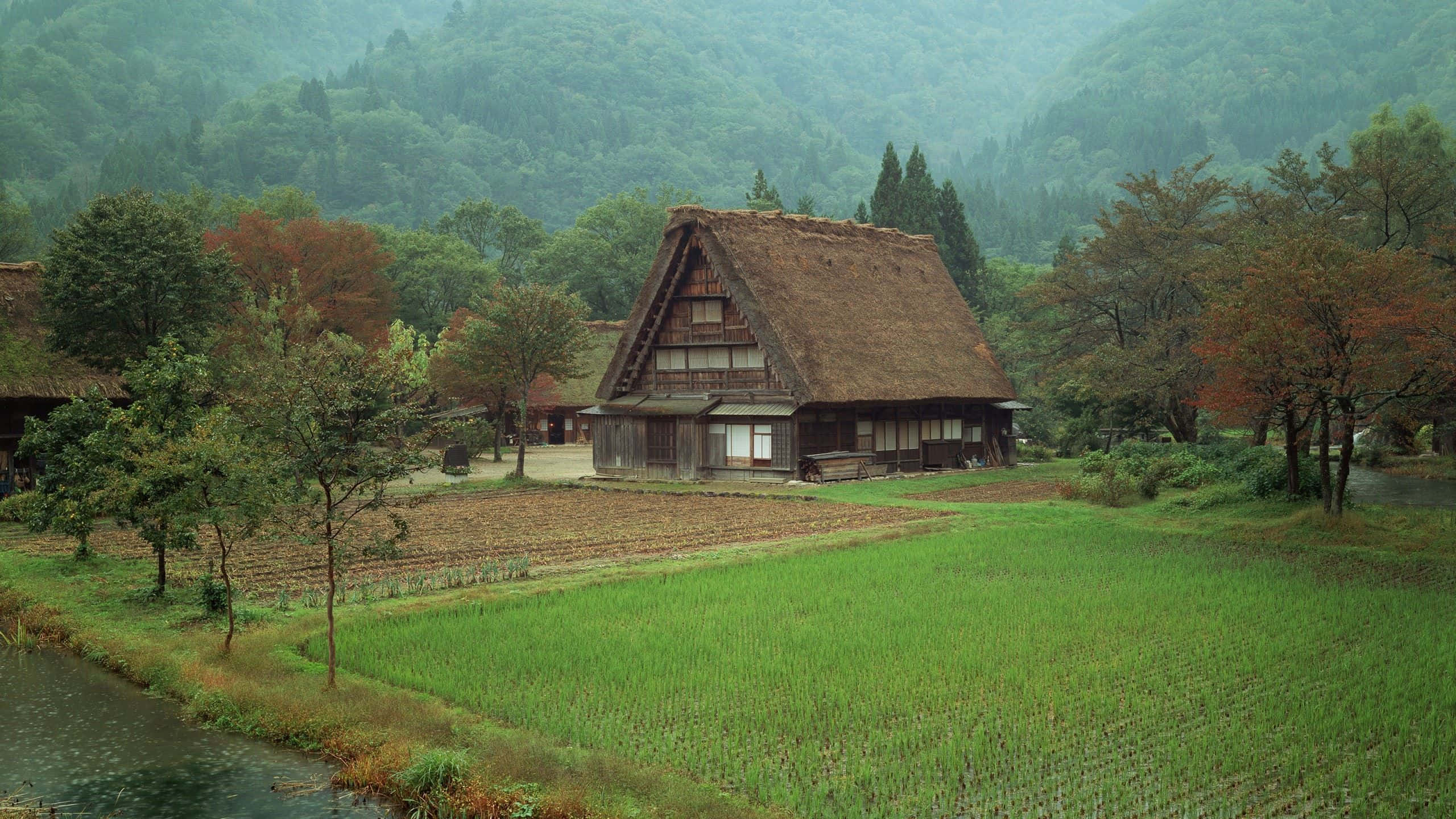 thatched-roof Japanese farmhouse, vibrant green rice paddy, misty forested hills, 2K Desktop Wallpaper