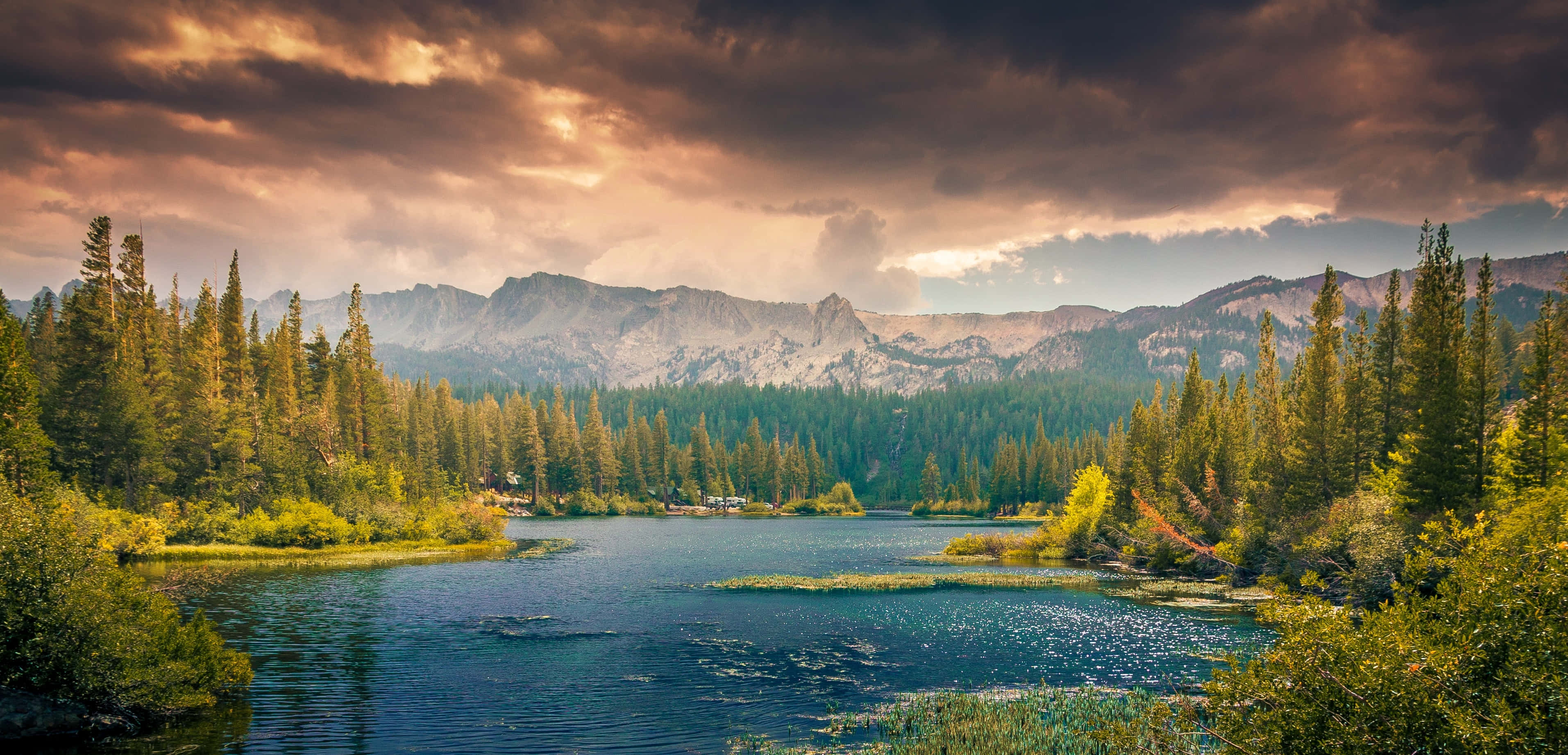 Idyllic Trees, lake, pine forests, 2K Desktop Wallpaper
