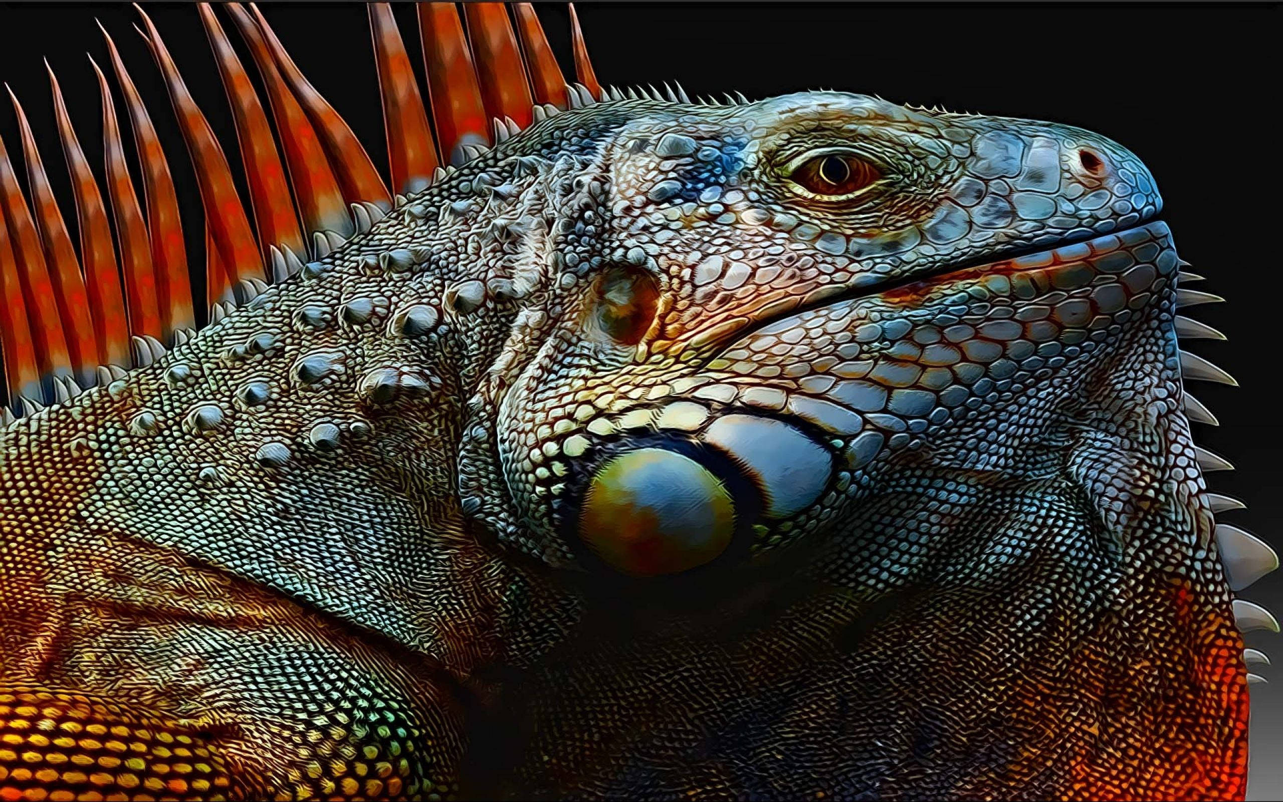 green iguana, orange crest, detailed scales, 2K Desktop Wallpaper
