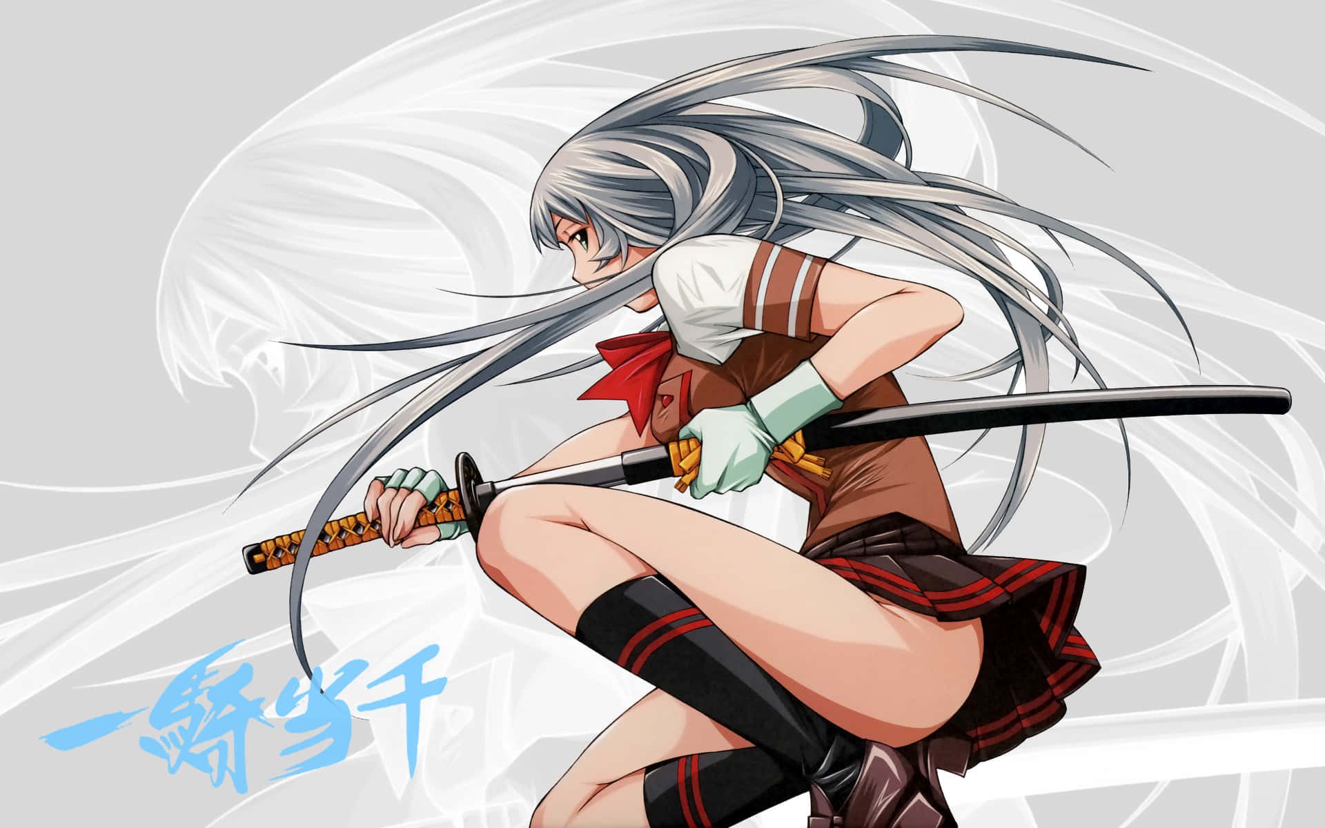 Ikki Tousen, silver hair, katana, Full HD Desktop Wallpaper