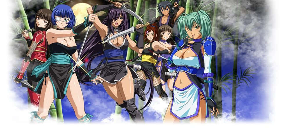 Ikki Tousen, anime-style female warriors, revealing outfits, SD Desktop Wallpaper