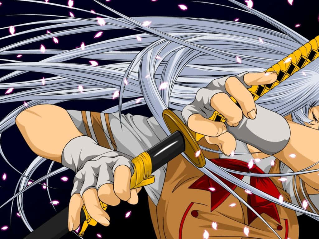 Ikki Tousen, silver-haired anime warrior, katana, SD Desktop Wallpaper