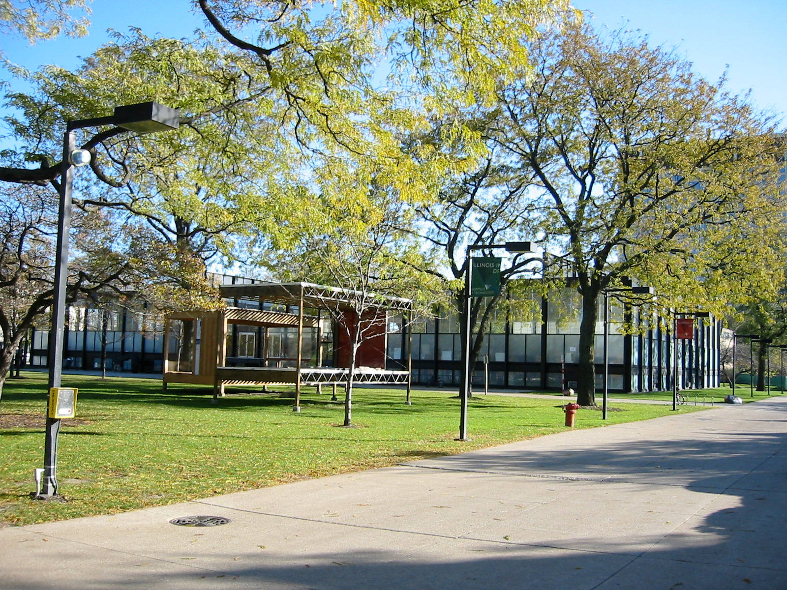 Illinois Institute Of Technology, park, sunlit campus pathway, HD Desktop Wallpaper