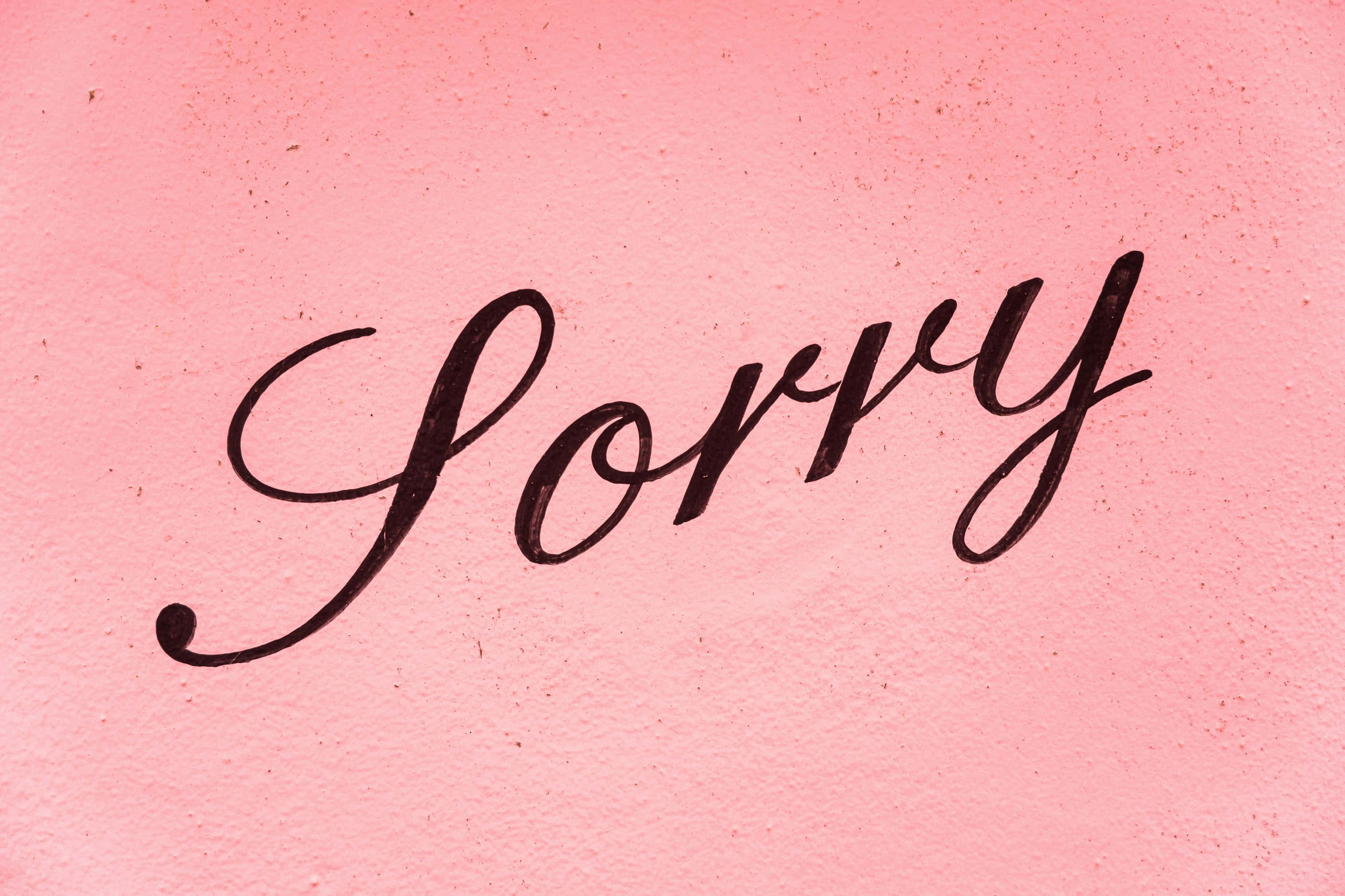 sorry, elegant black cursive, textured soft pink background, 2K Desktop Wallpaper