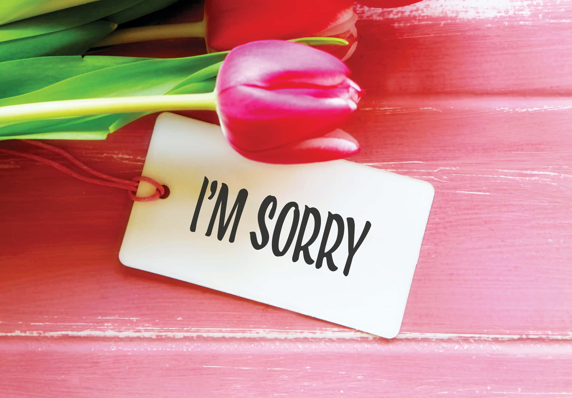 I'M SORRY, white apology tag, bold black text, Full HD Desktop Wallpaper