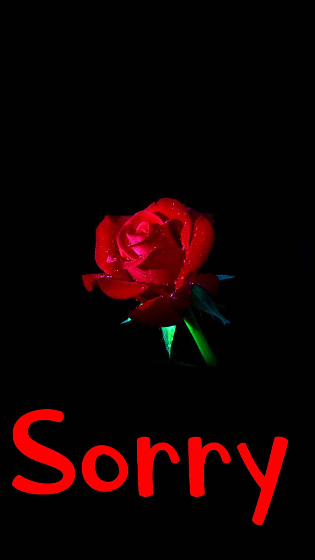 red rose, water droplets, black background, Full HD Phone Wallpaper