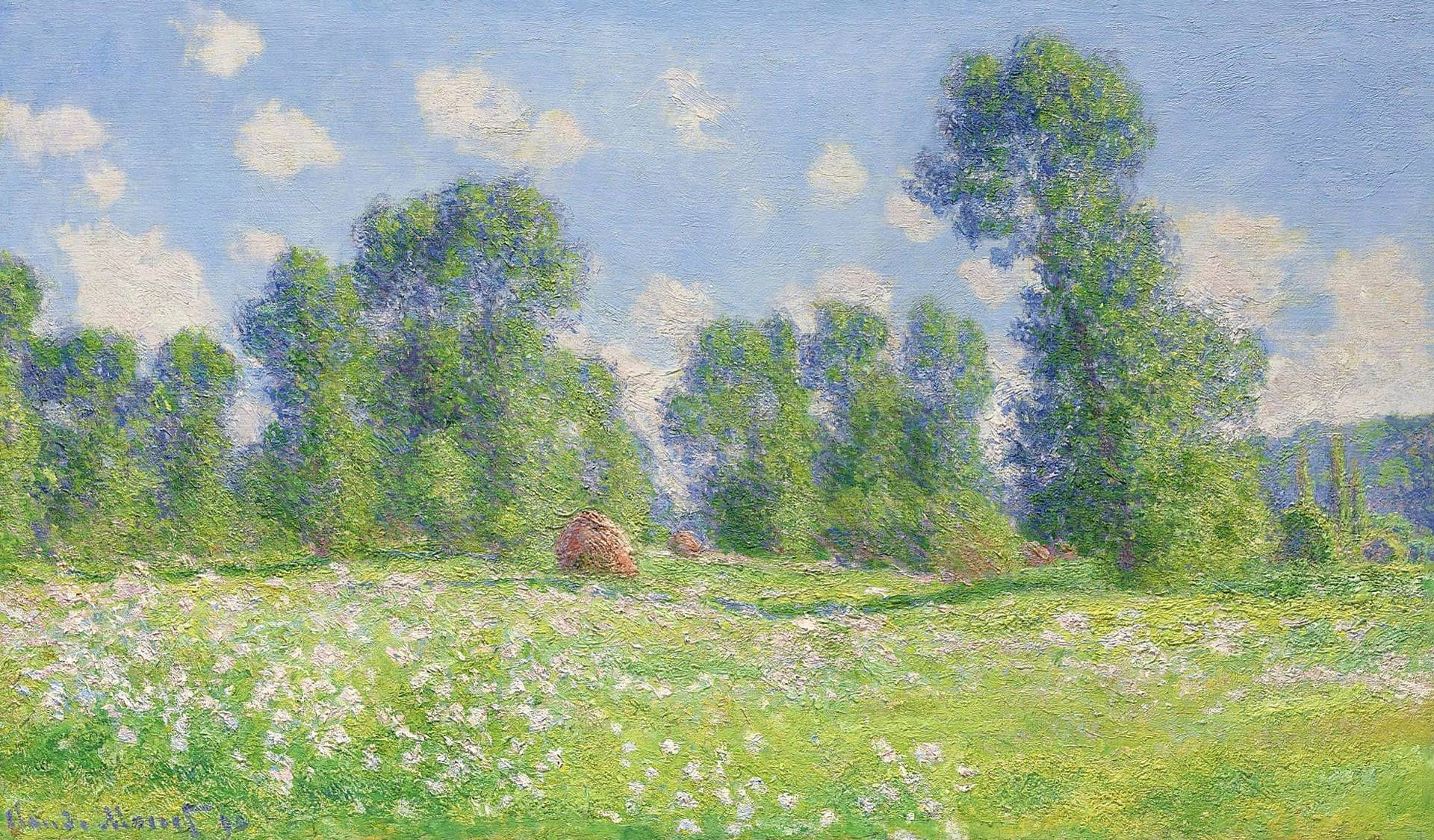 Impressionist, meadow, white wildflowers, Full HD Desktop Wallpaper