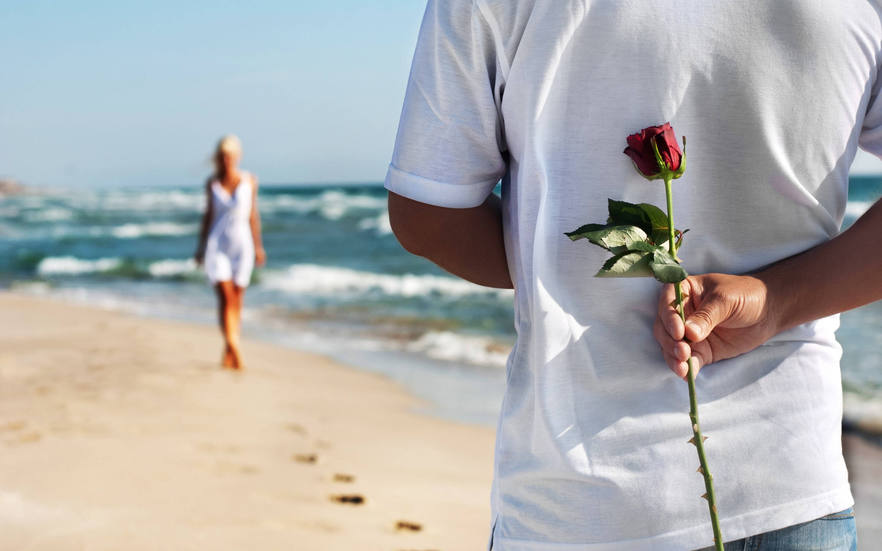 In Love Couples, beach, sunlit, 2K Desktop Wallpaper