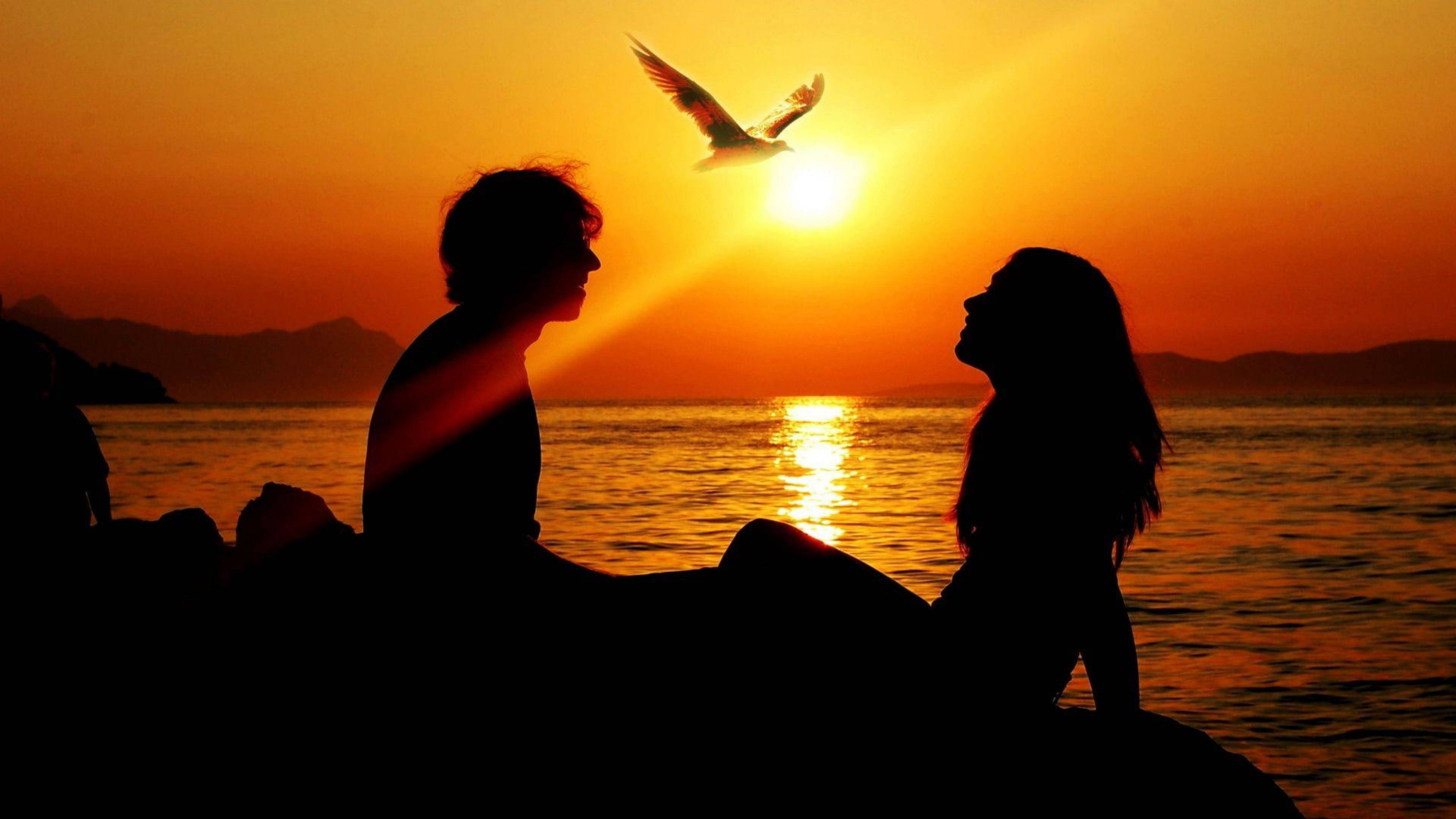 romantic sunset, silhouetted couple, seagull, 4K Desktop Wallpaper