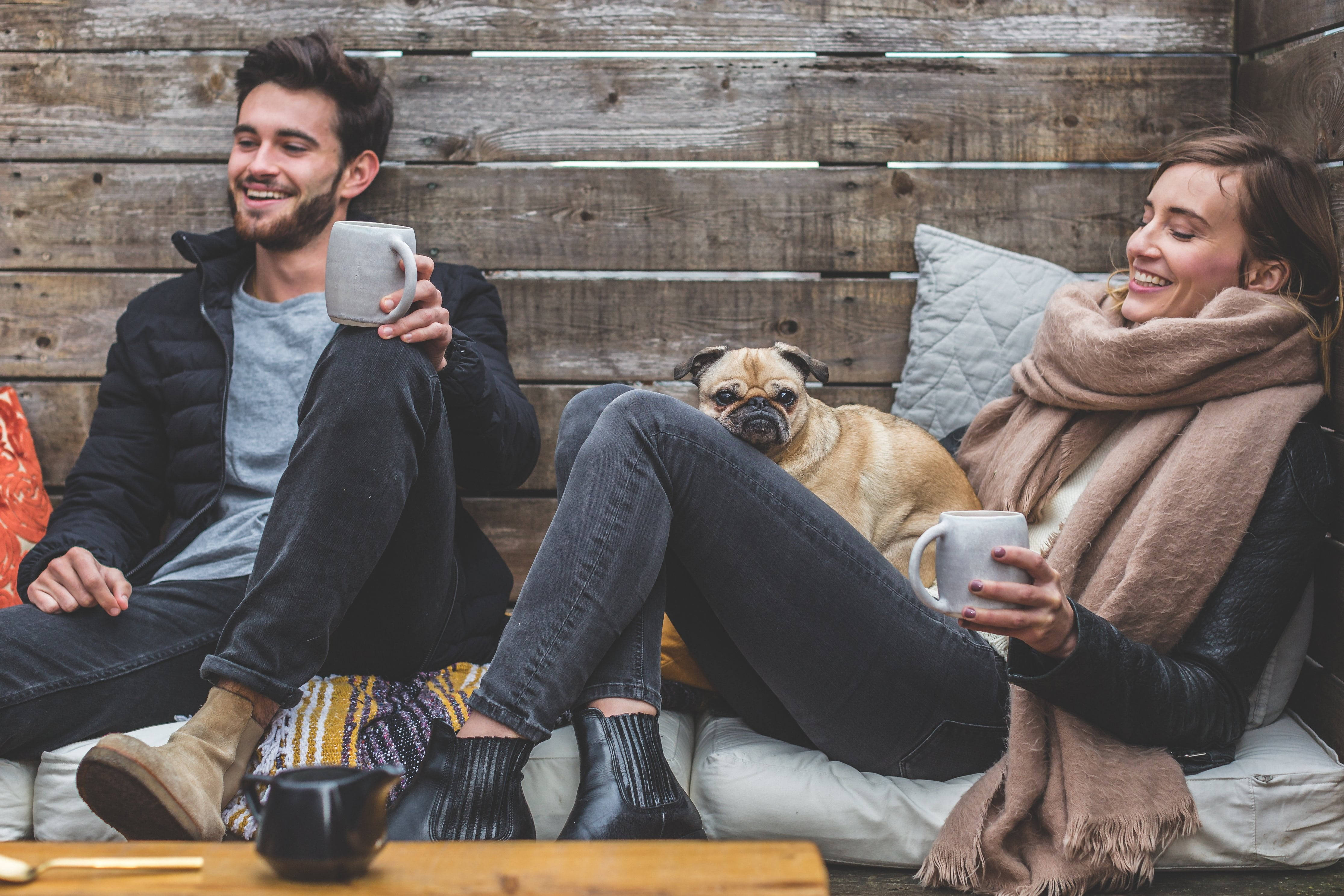 In Love Couples, cabin, pug, 4K Desktop Wallpaper