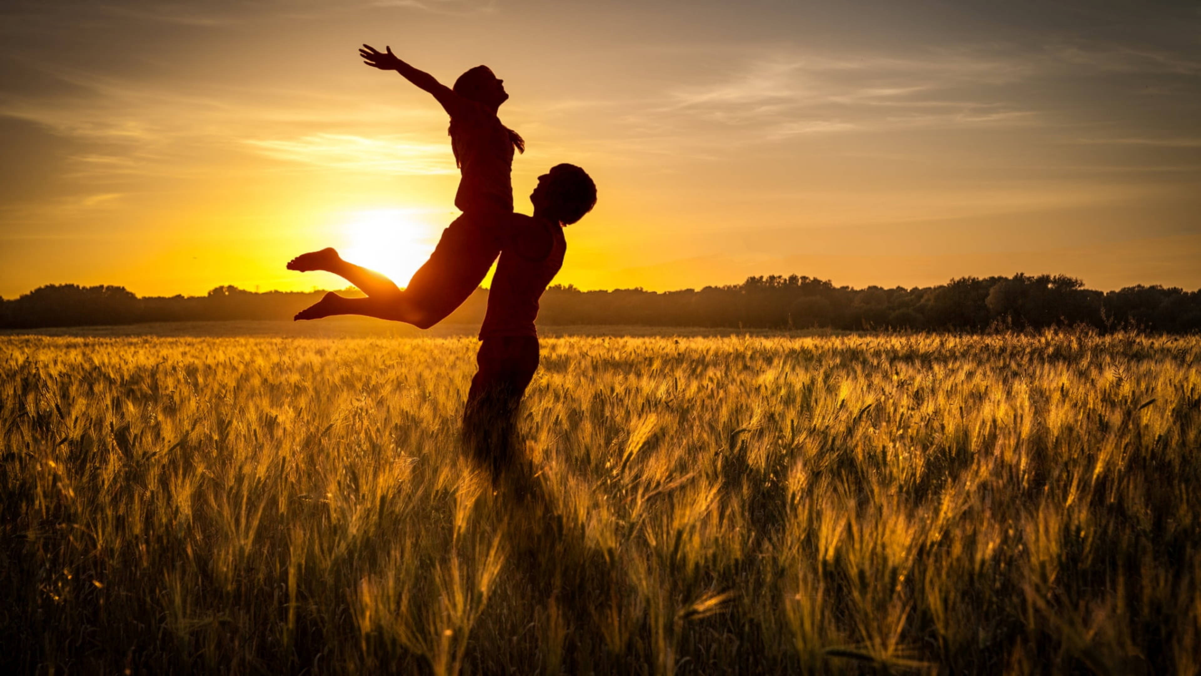 golden wheat field, sunset, warm glowing light, 4K Desktop Wallpaper