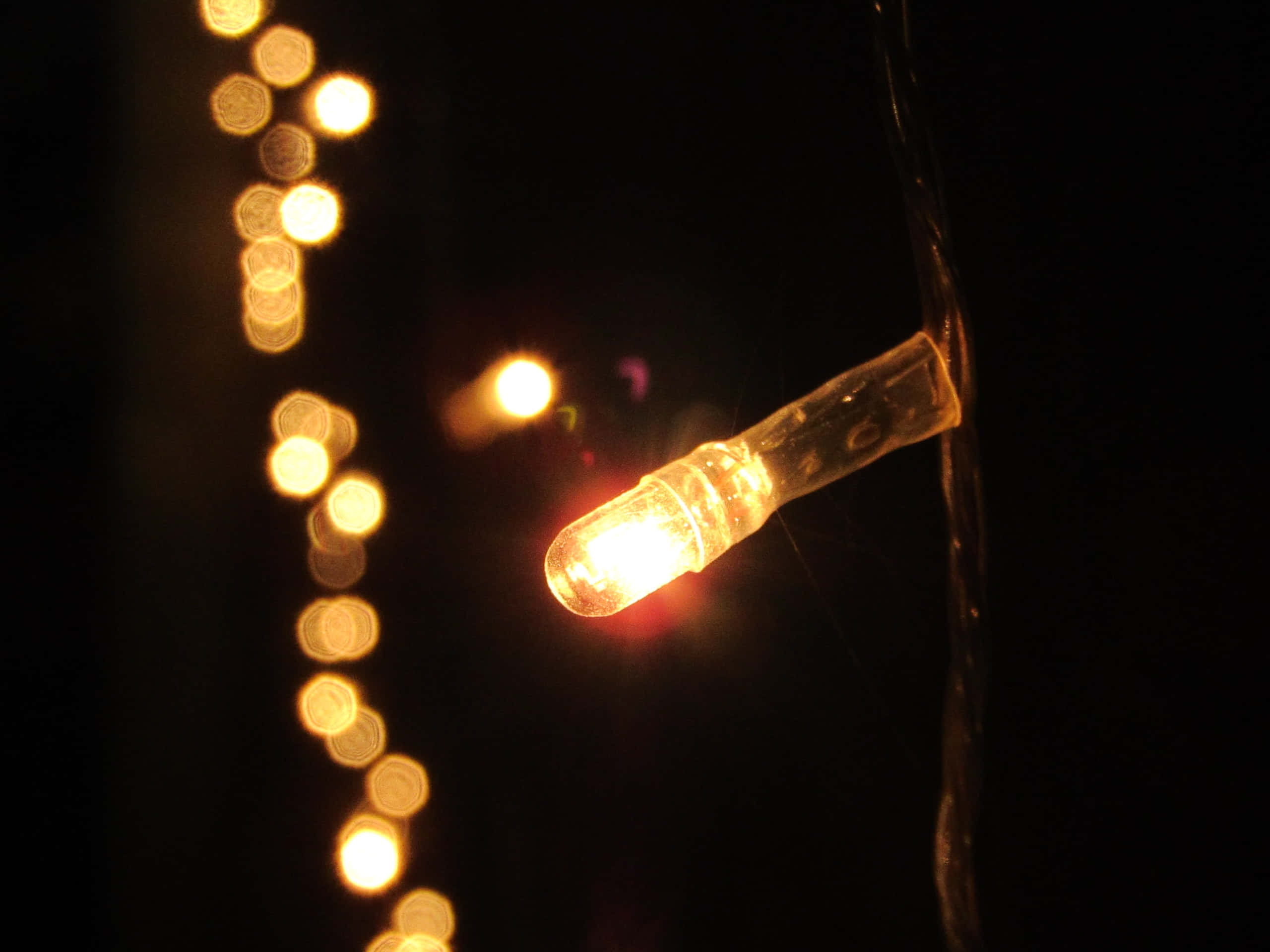 incandescent room light, glowing string light bulb, golden bokeh lights, 2K Desktop Wallpaper