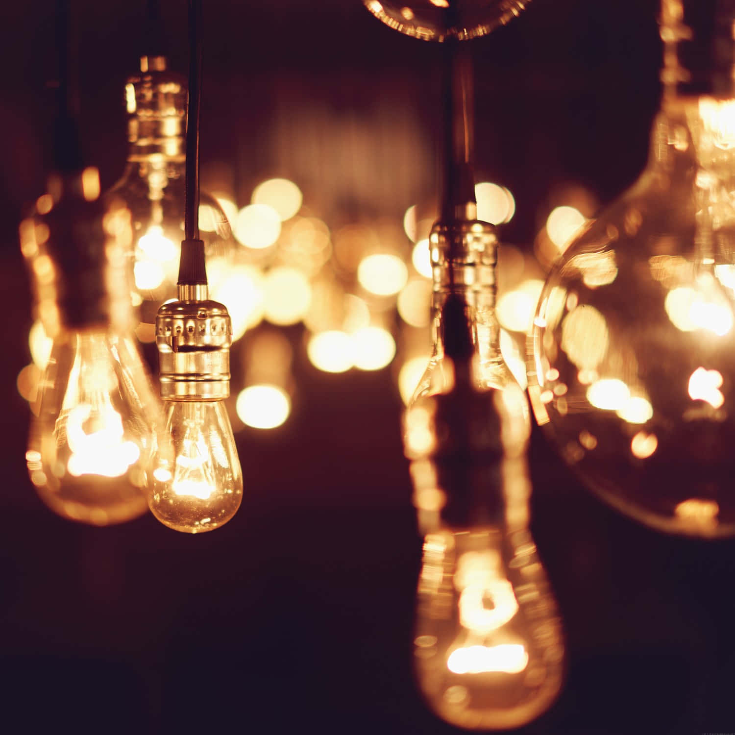 glowing incandescent light bulbs, vintage light bulbs, dark backdrop, HD Desktop Wallpaper