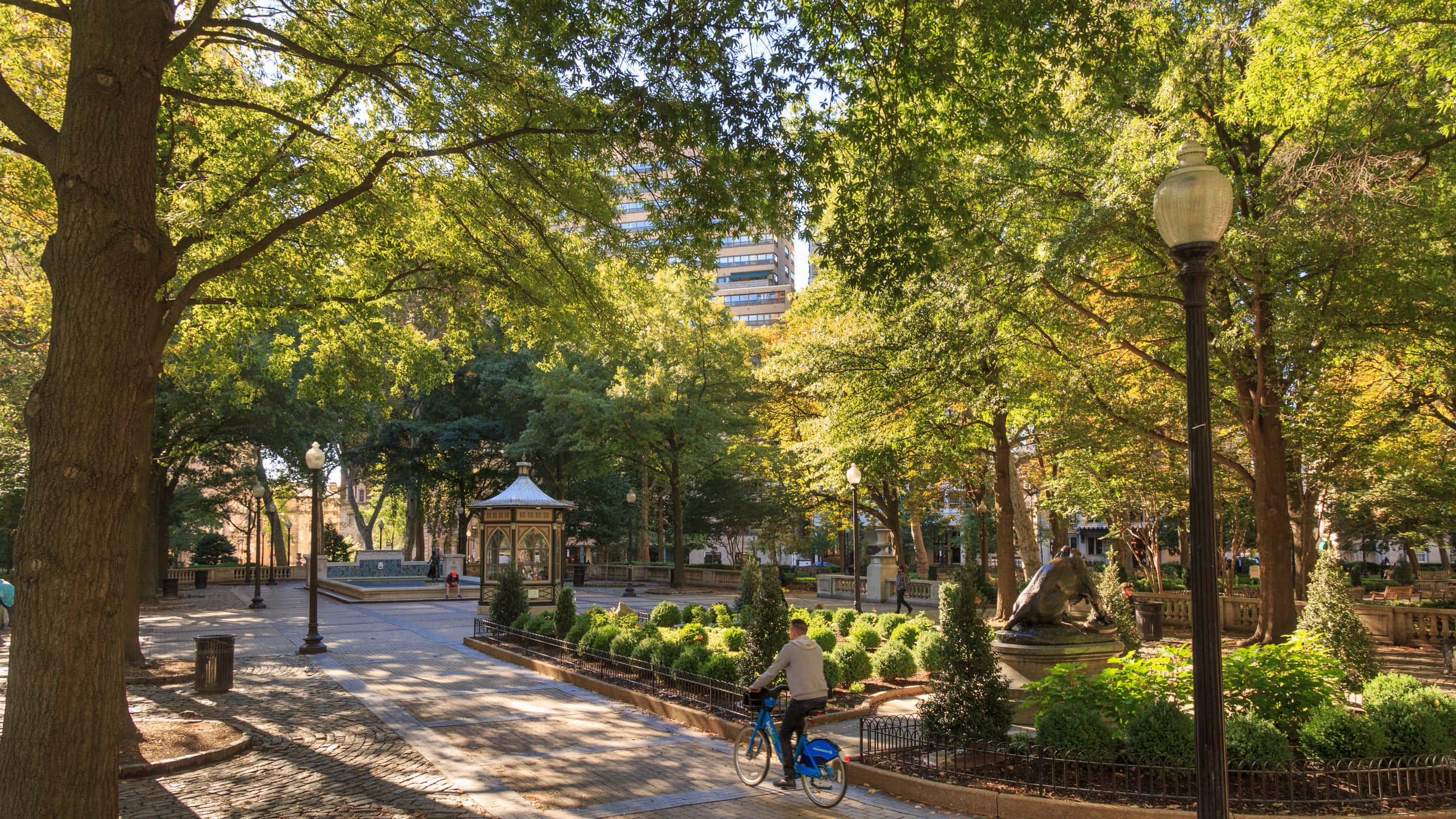 Independence Park, blue bike, tree-lined park path, 2K Desktop Wallpaper