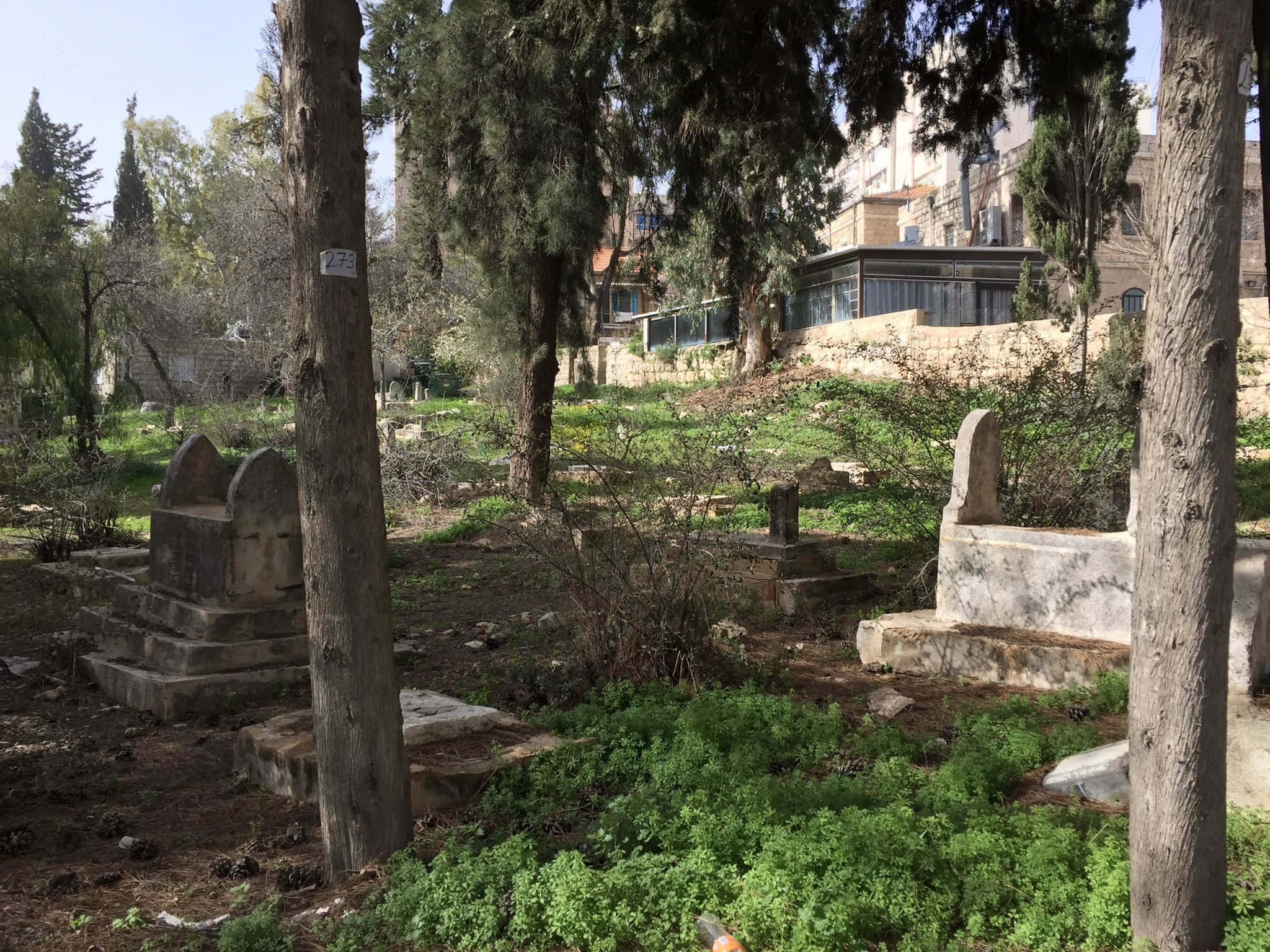 Independence Park, ancient stone tombstones, lush greenery, Full HD Desktop Wallpaper