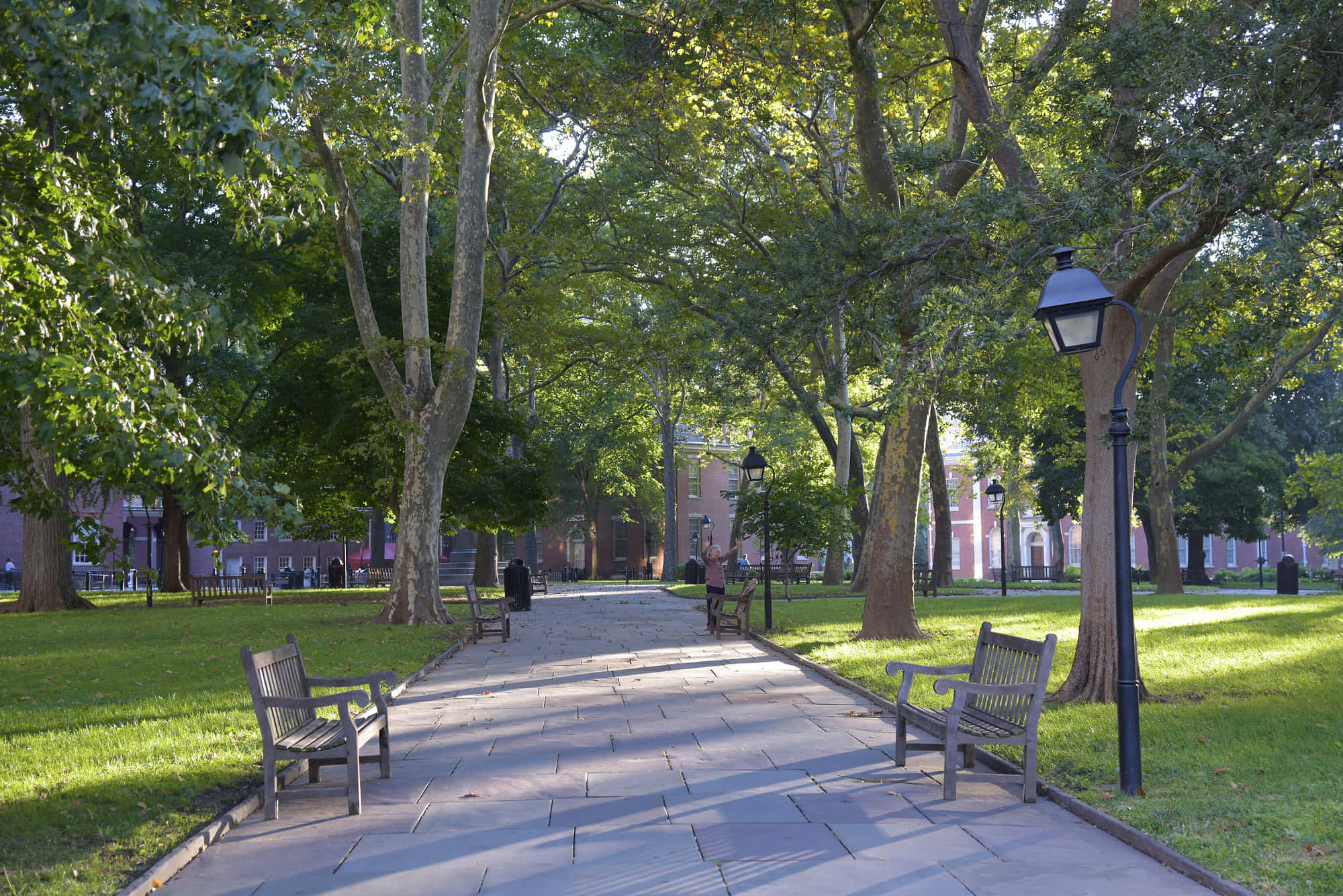 Independence Park, stone path, tree-lined park, Full HD Desktop Wallpaper
