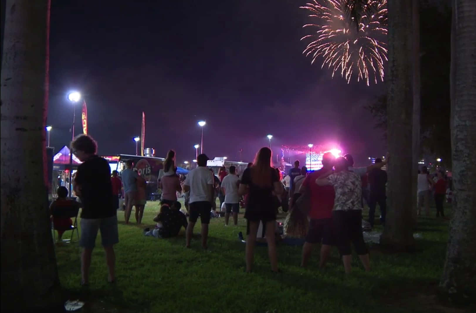 Independence Park, nighttime, fireworks, HD Desktop Wallpaper