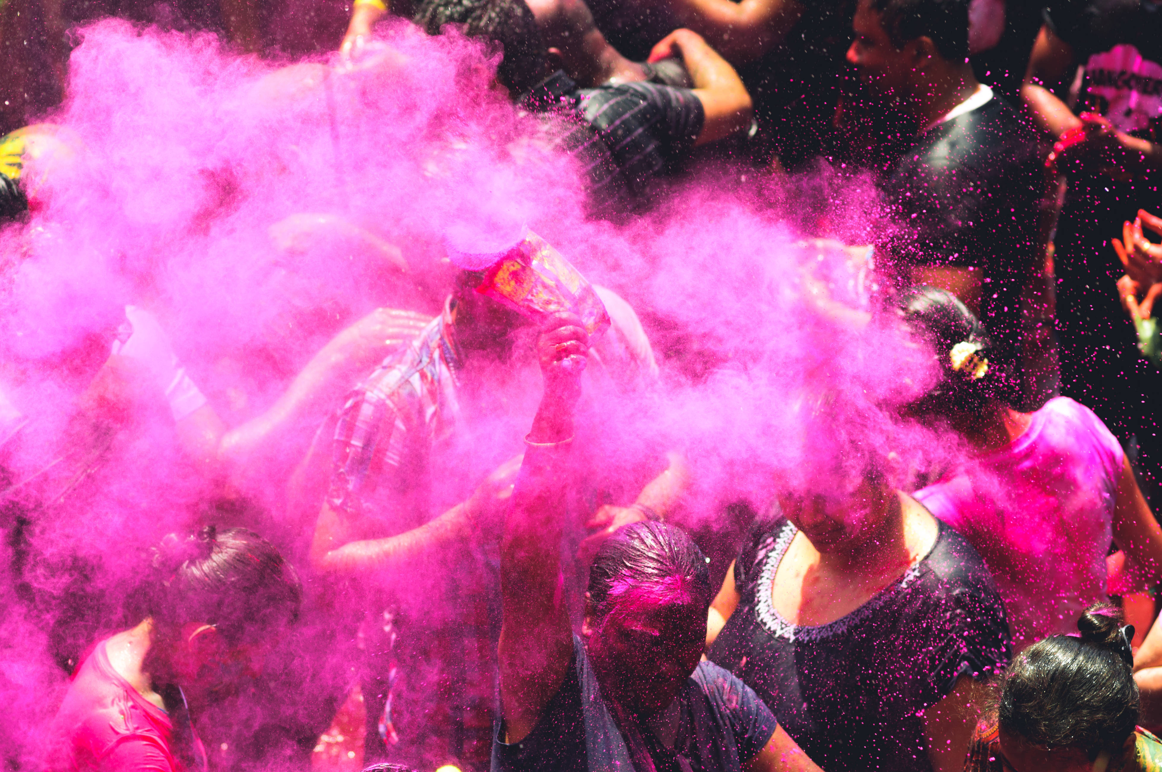 India Holi, purple gulal dye, vibrant pink powder, 4K Desktop Wallpaper