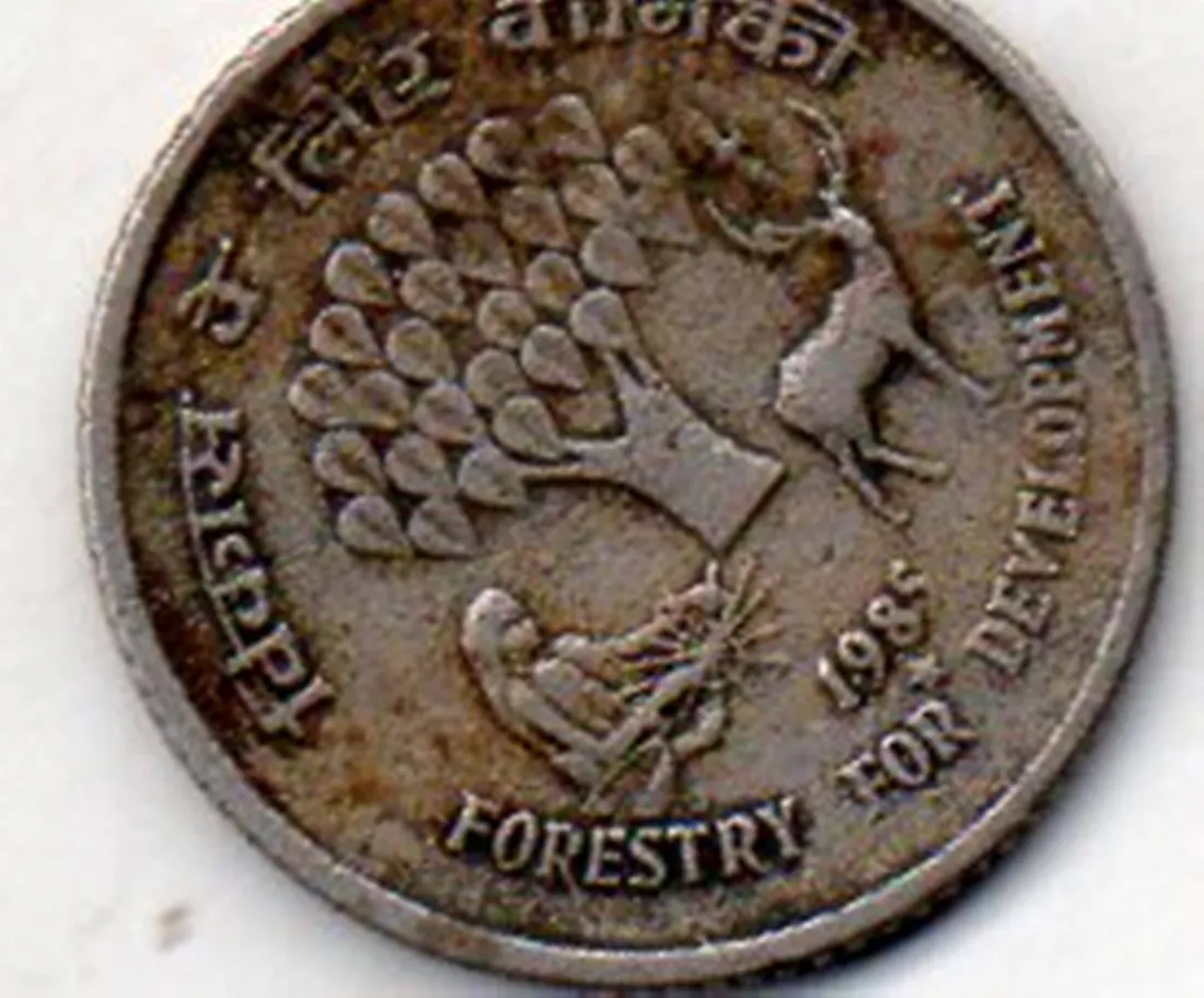 Indian Currency