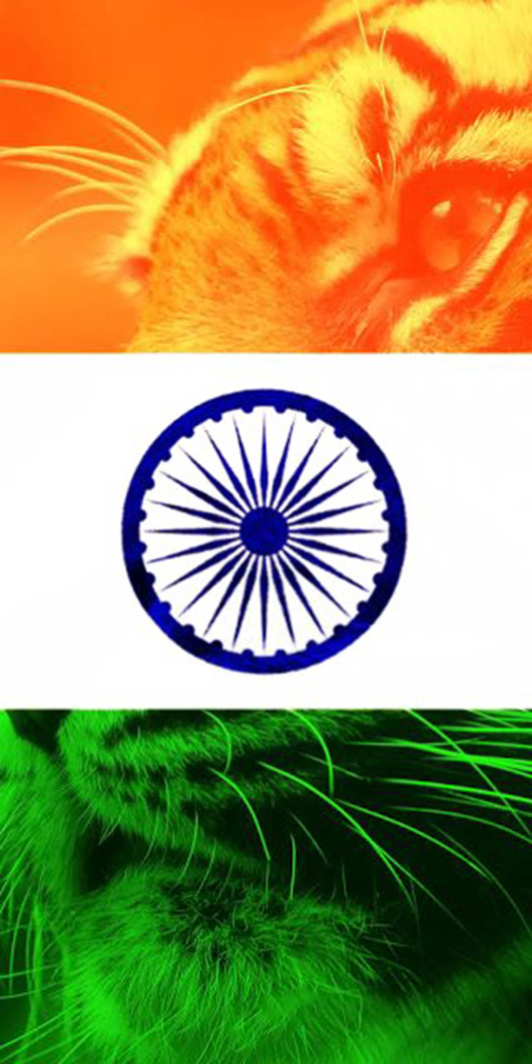 Indian Flag, tiger, fiery orange, Full HD Phone Wallpaper