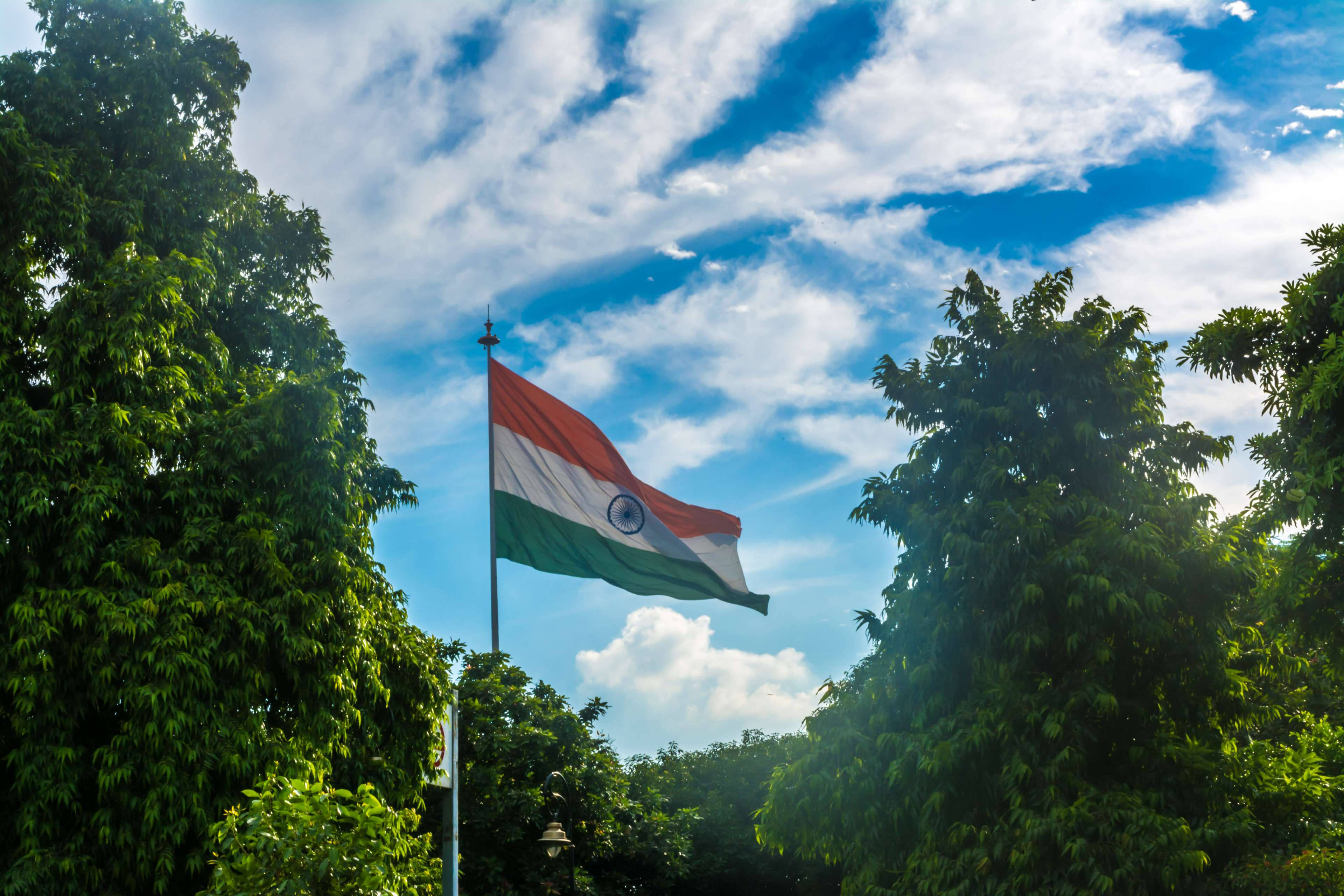 Indian Flag, 4K, lush green trees, 4K Desktop Wallpaper