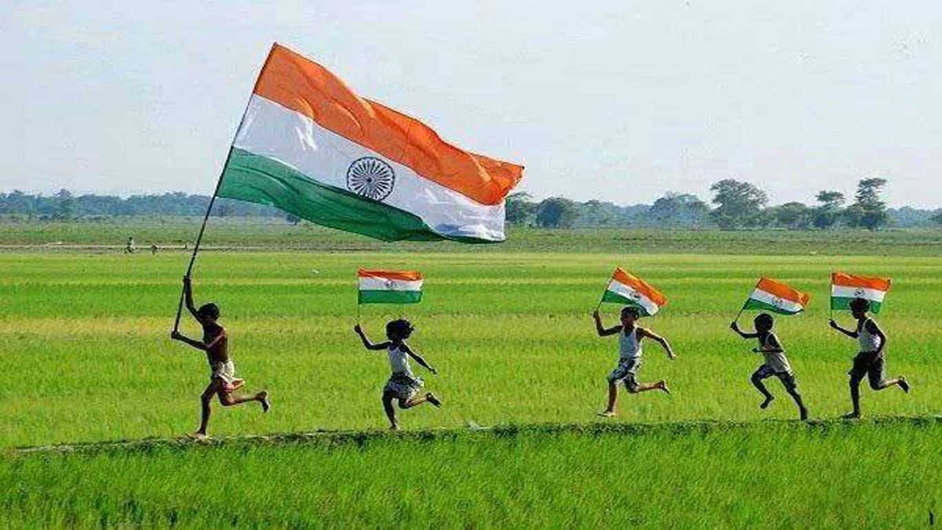 Indian Flag HD, race, rice field, HD Desktop Wallpaper