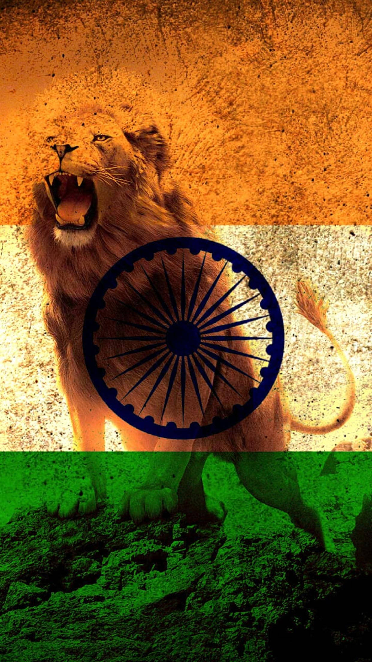 lion, Indian flag, textured orange white and green stripes, Full HD Phone Wallpaper