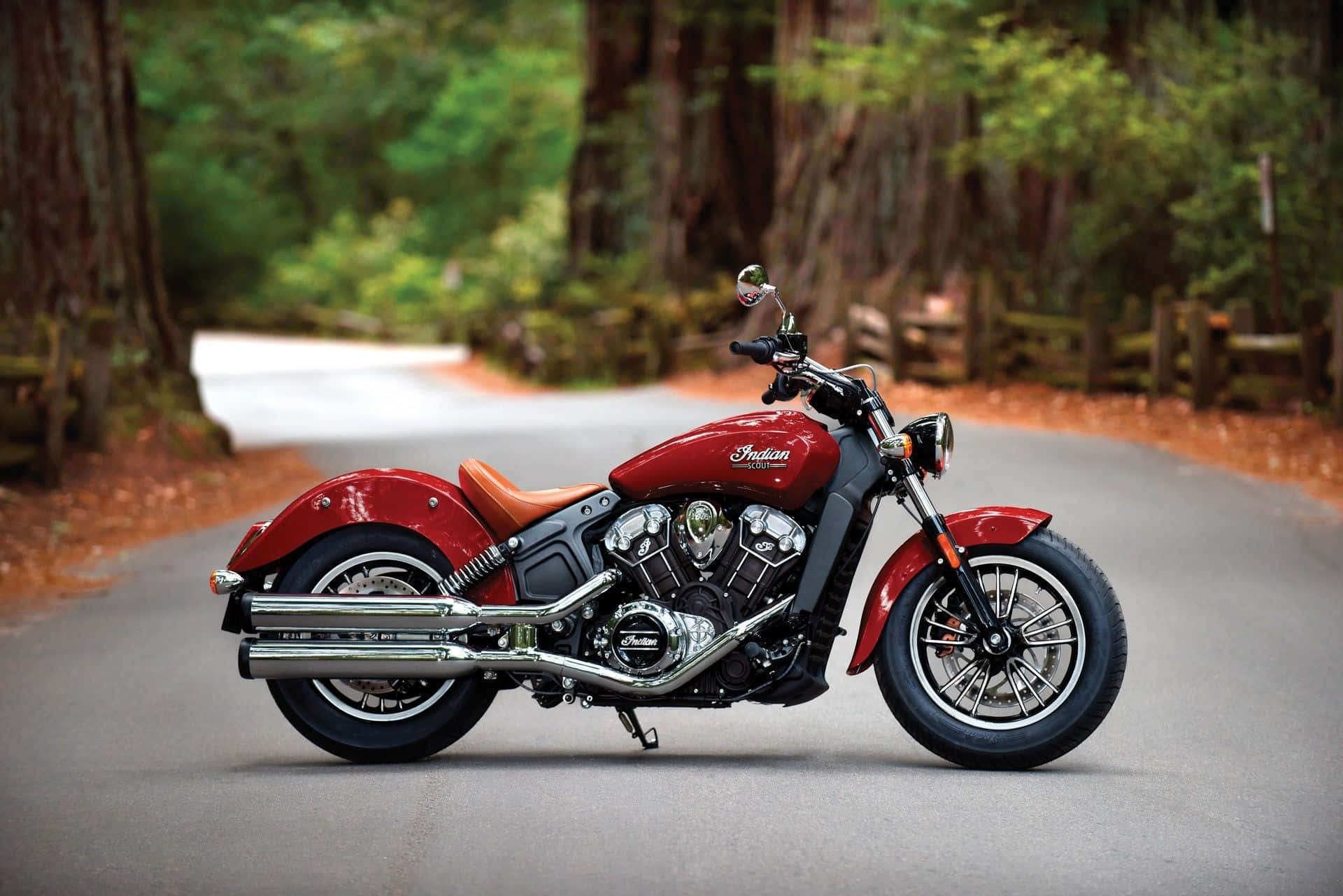 Indian Motorcycle, glossy red, winding forest road, Full HD Desktop Wallpaper