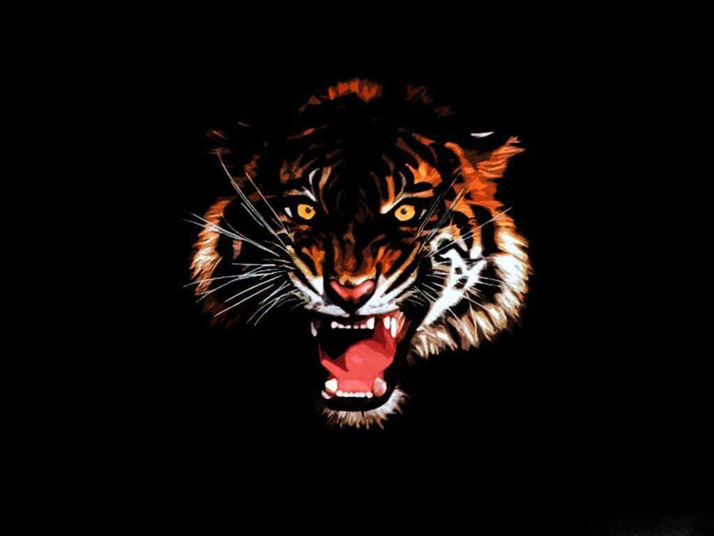 Indian Tiger, fierce tiger's head, stark black background, SD Desktop Wallpaper