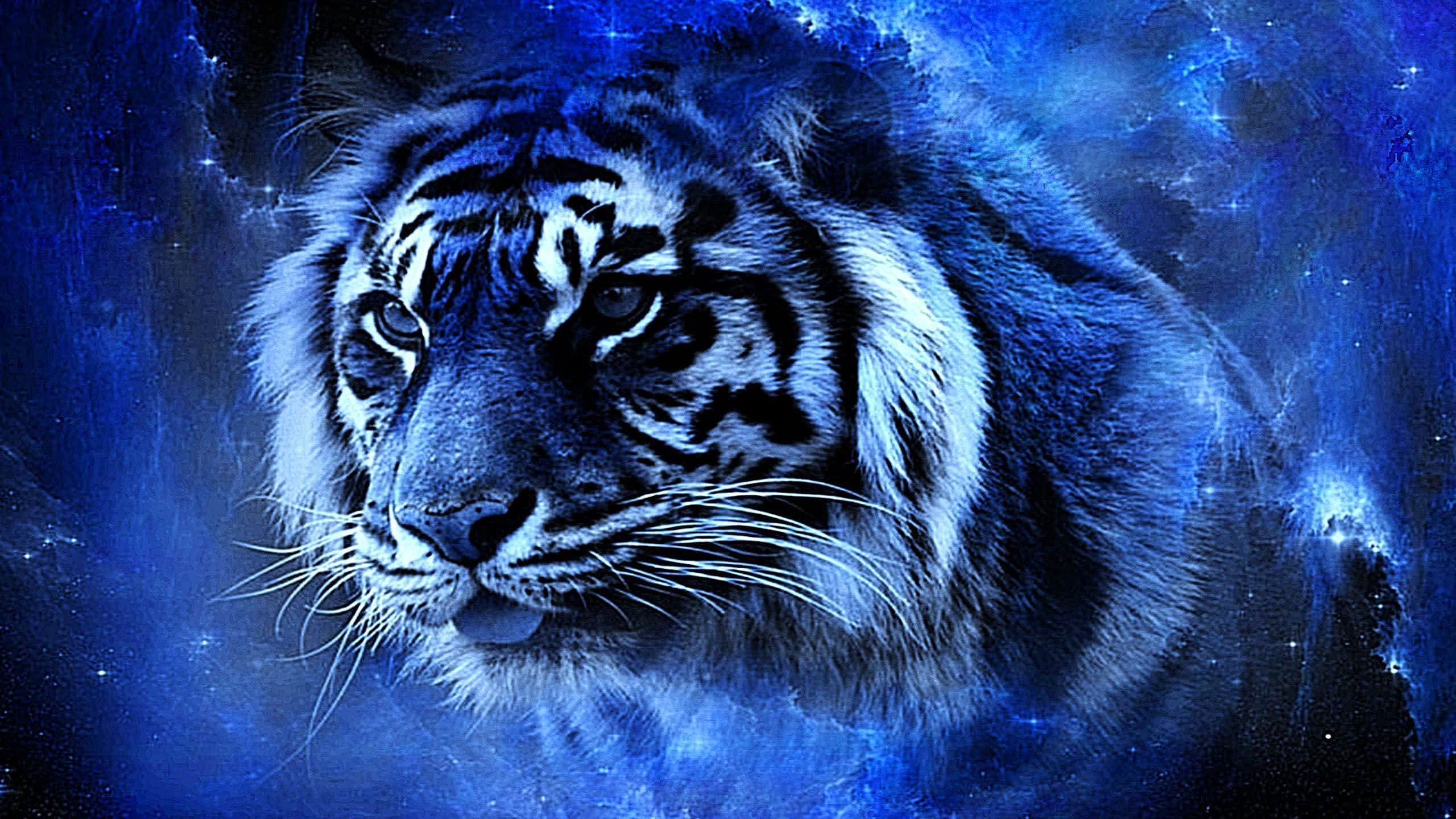 Indian Tiger, blue, glowing eyes, 2K Desktop Wallpaper