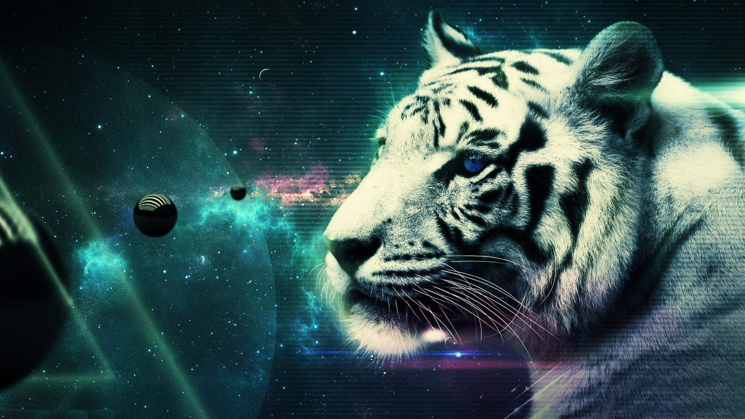 Indian Tiger Space, white tiger, glowing blue eyes, 2K Desktop Wallpaper