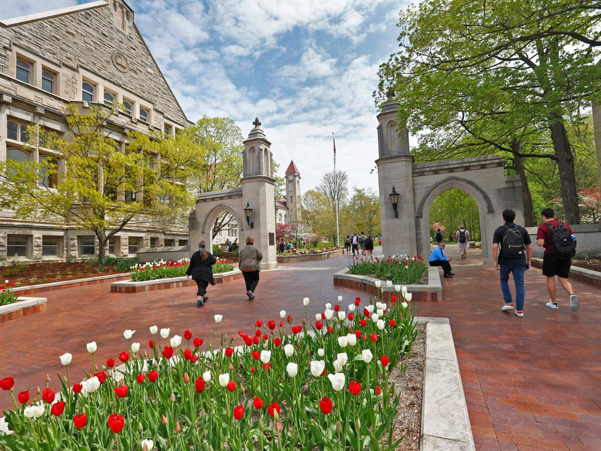 Indiana University Bloomington, tulips, gate, SD Desktop Wallpaper