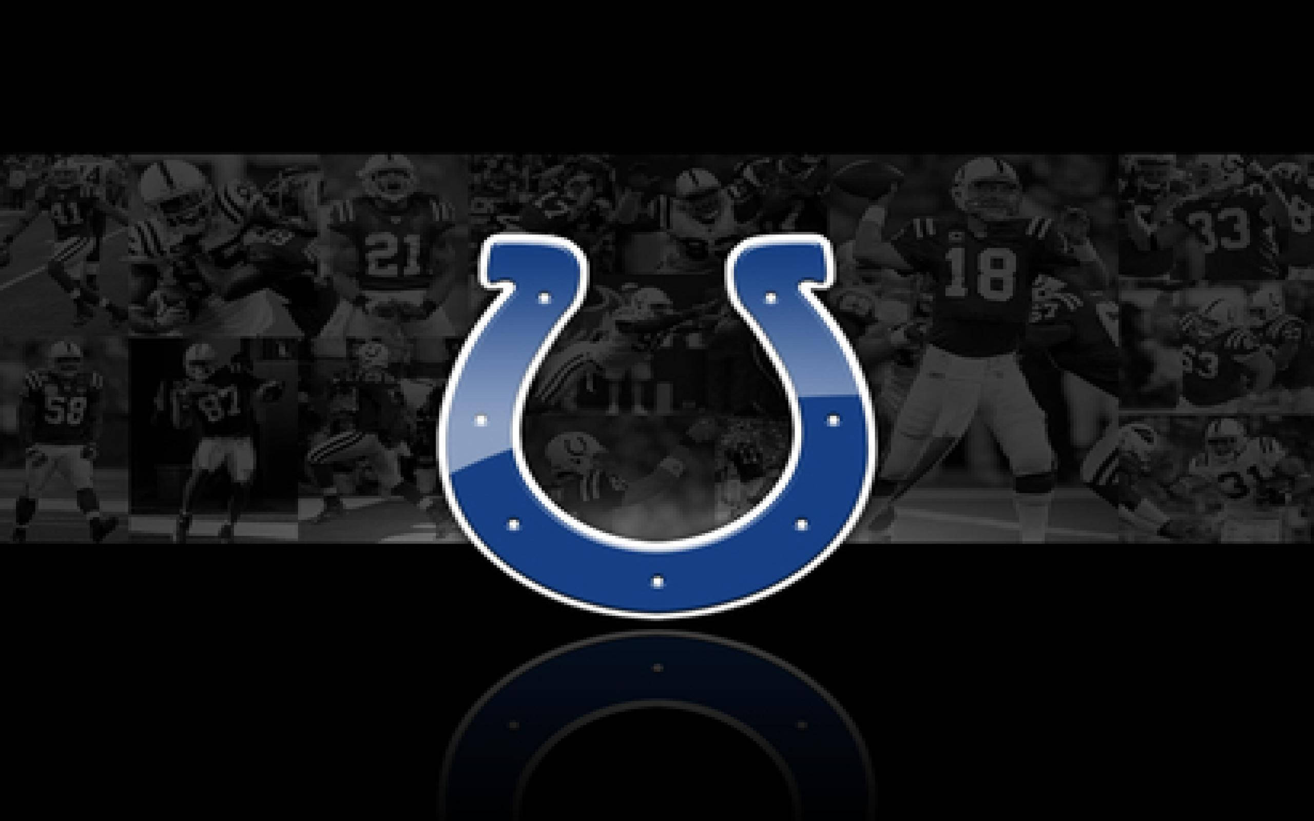 Indianapolis Colts, horseshoe logo, blue, 2K Desktop Wallpaper
