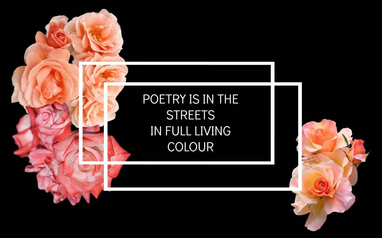 peach, coral, roses, HD Desktop Wallpaper