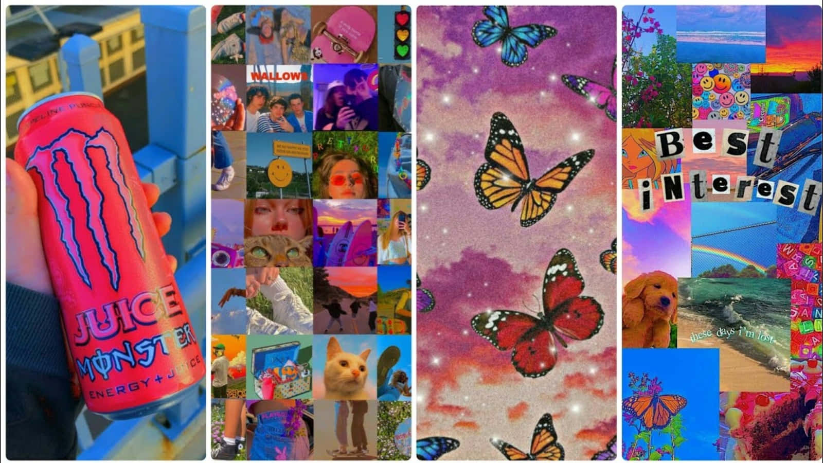 Indie Desktop, 1600 x 900, butterflies, HD Desktop Wallpaper