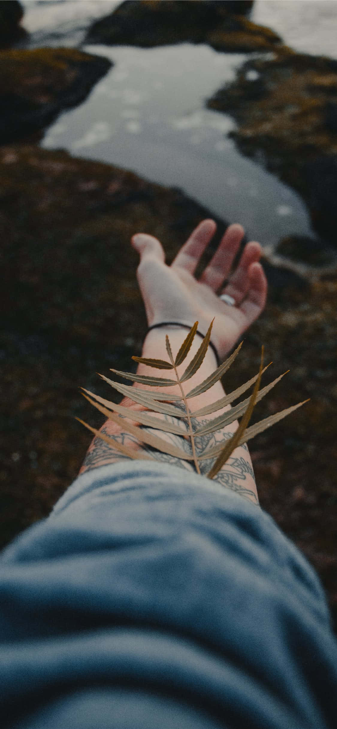 Indie iPhone, tattooed hand, mossy rock pool, Full HD Phone Wallpaper