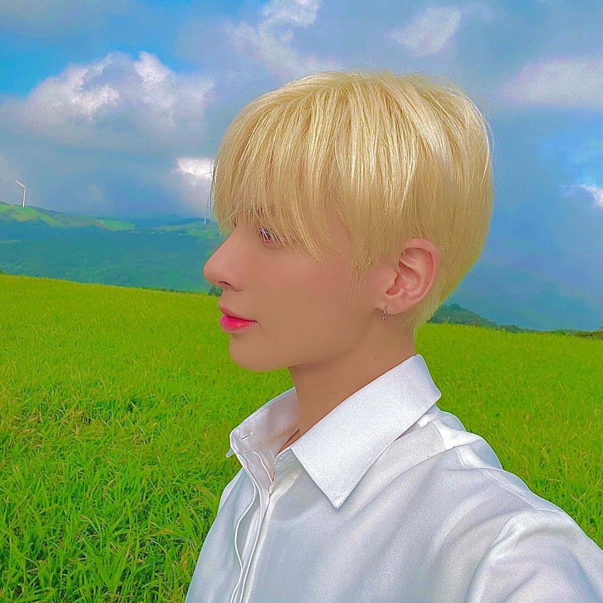 blonde indie profilein green field, white shirt, vibrant green field, SD Desktop Wallpaper