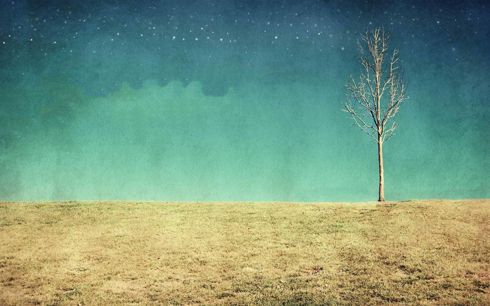 Indie Aesthetic, laptop, dead tree, HD Desktop Wallpaper