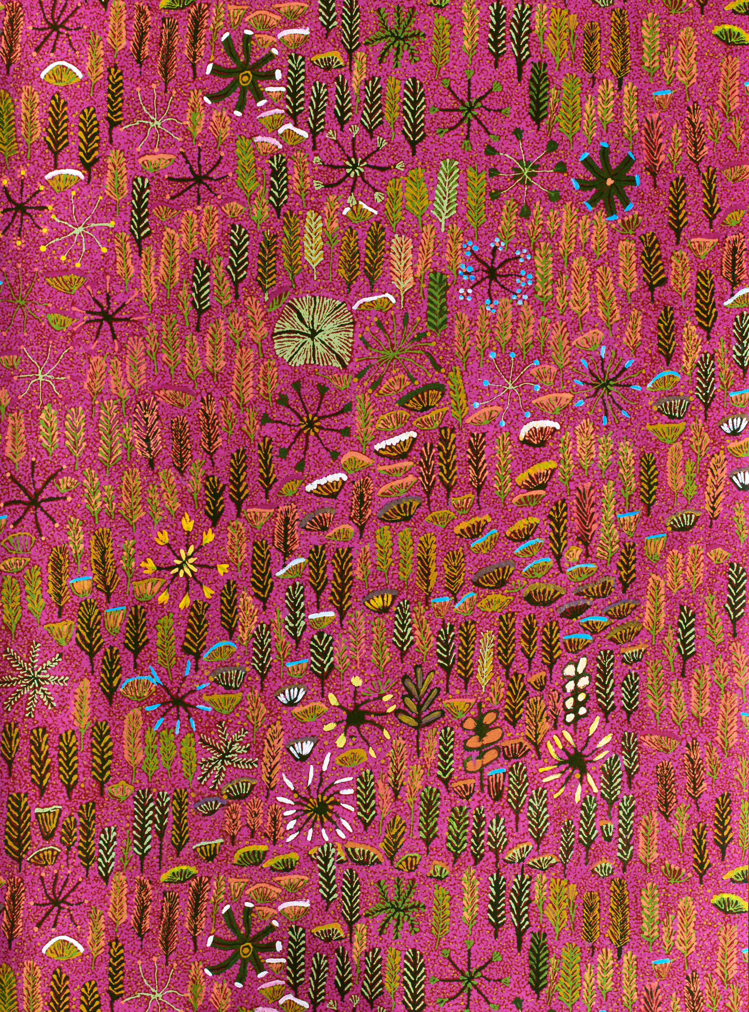Indigenous Forest Artwork, vibrant pink background, dense stylized green brown and orange foliage patterns, 2K Phone Wallpaper