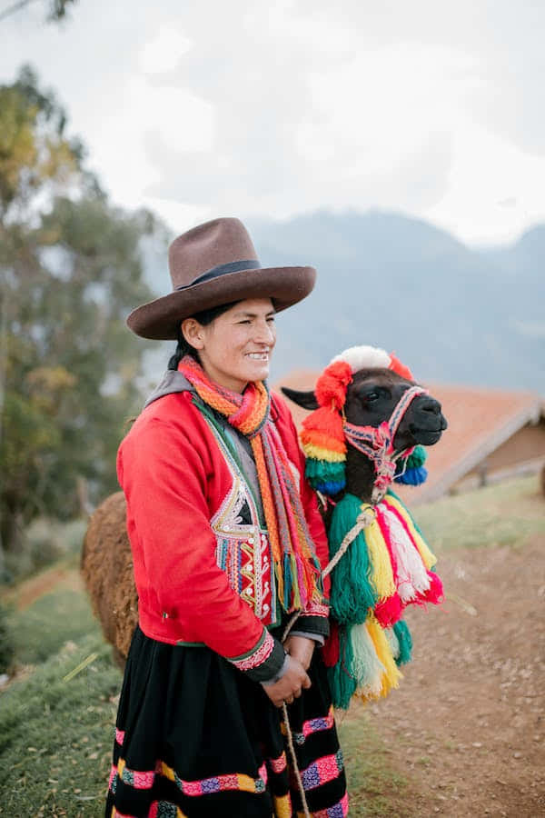 indigenous woman, vibrant traditional attire, decorated llama, SD Phone Wallpaper