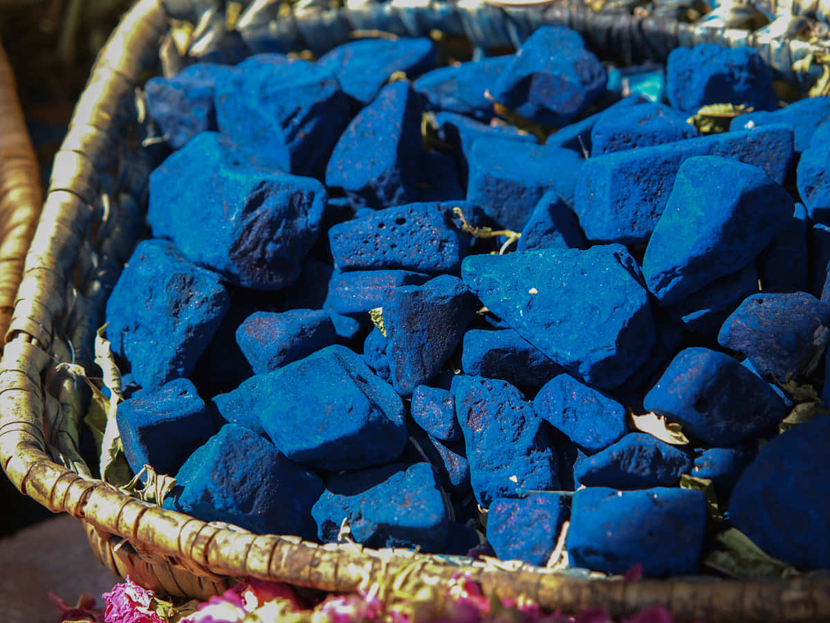 Indigo Blue, cobalt blue, warm sunlight, SD Desktop Wallpaper