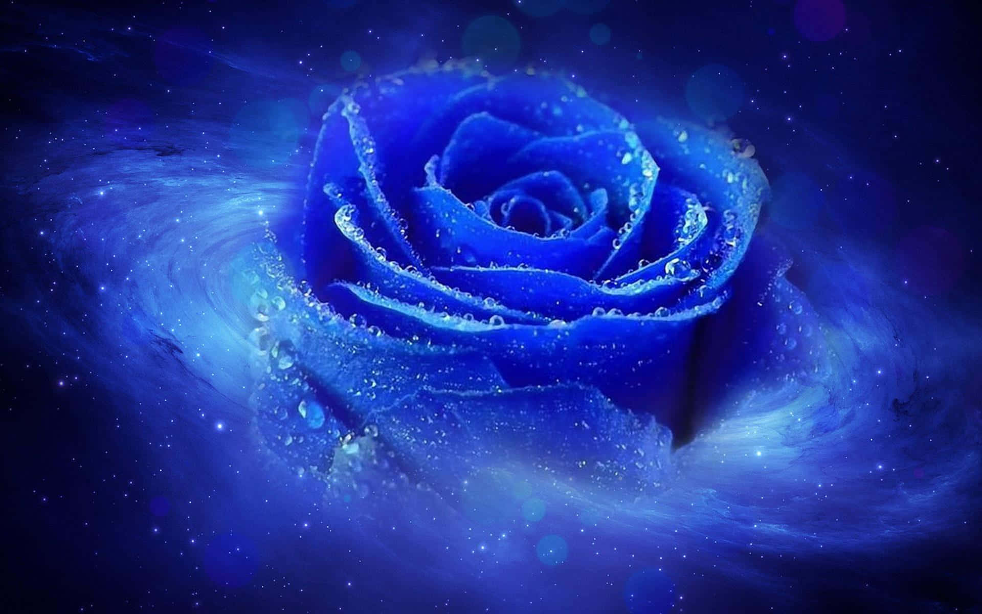 Dark Blue Rose Abstract, luminous blue rose, dewdrops, Full HD Desktop Wallpaper