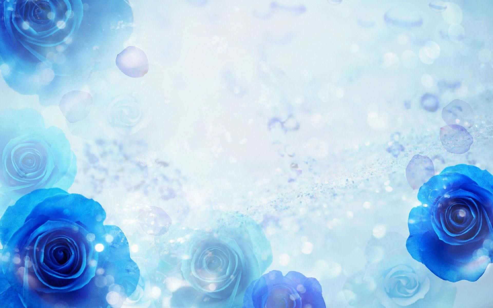 Dark Blue Rose Abstract, vibrant blue roses, dreamy, Full HD Desktop Wallpaper