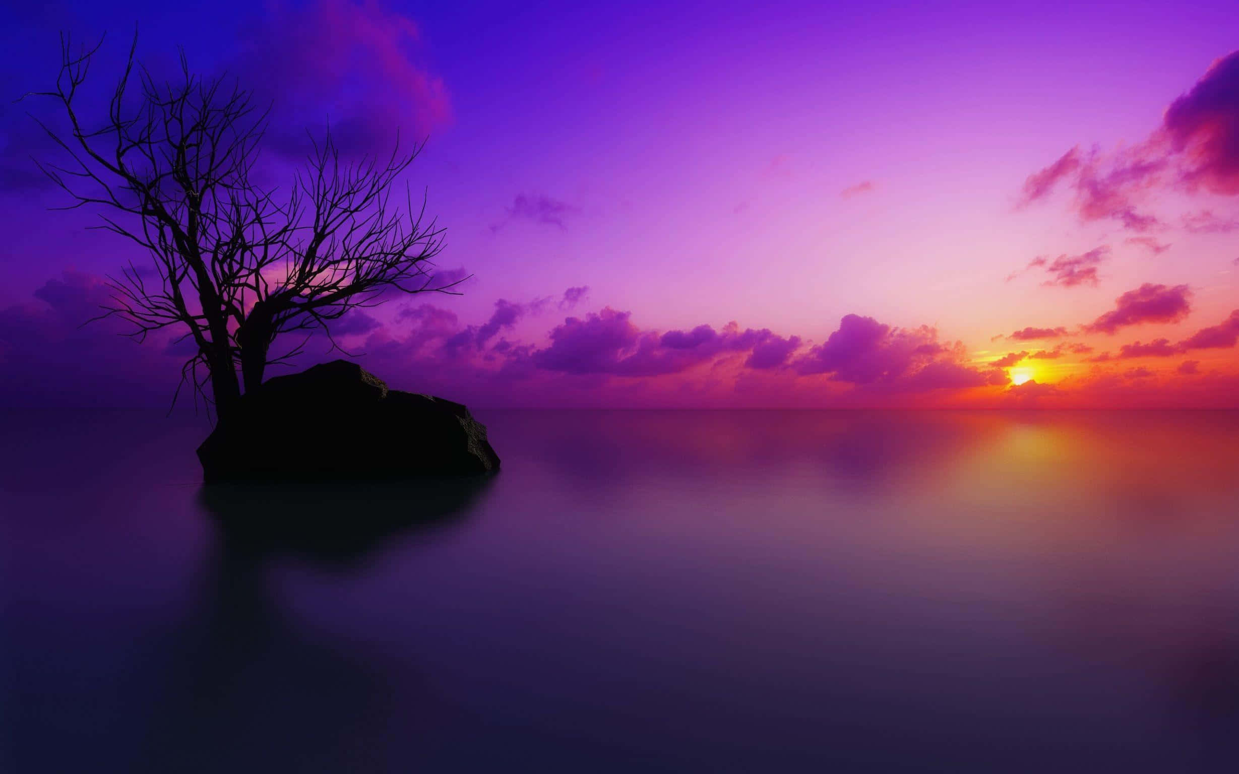 Indigo, Sunset, Purple, Full HD Desktop Wallpaper