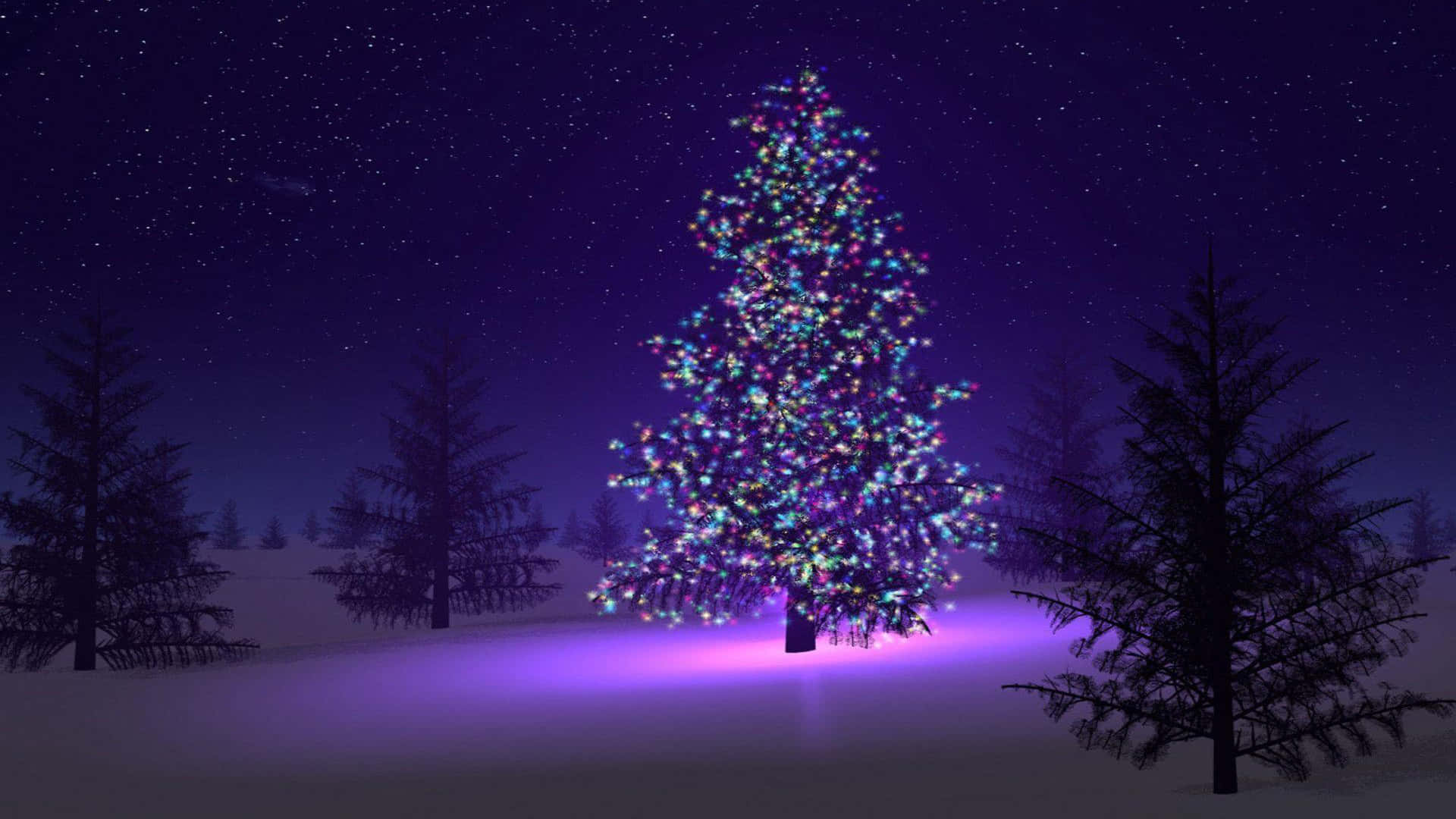 Indigo, Christmas tree, snow-covered pine tree, Full HD Desktop Wallpaper