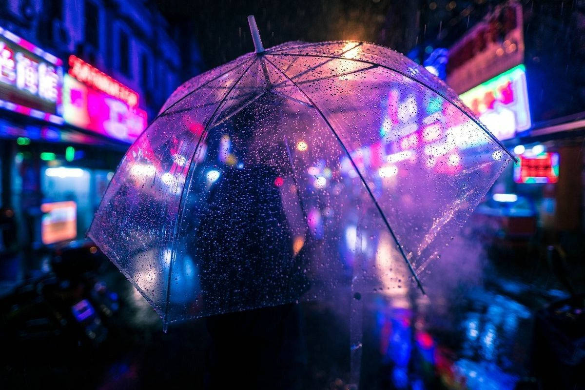 Indigo Aesthetic, neon lights, wet city street, SD Desktop Wallpaper