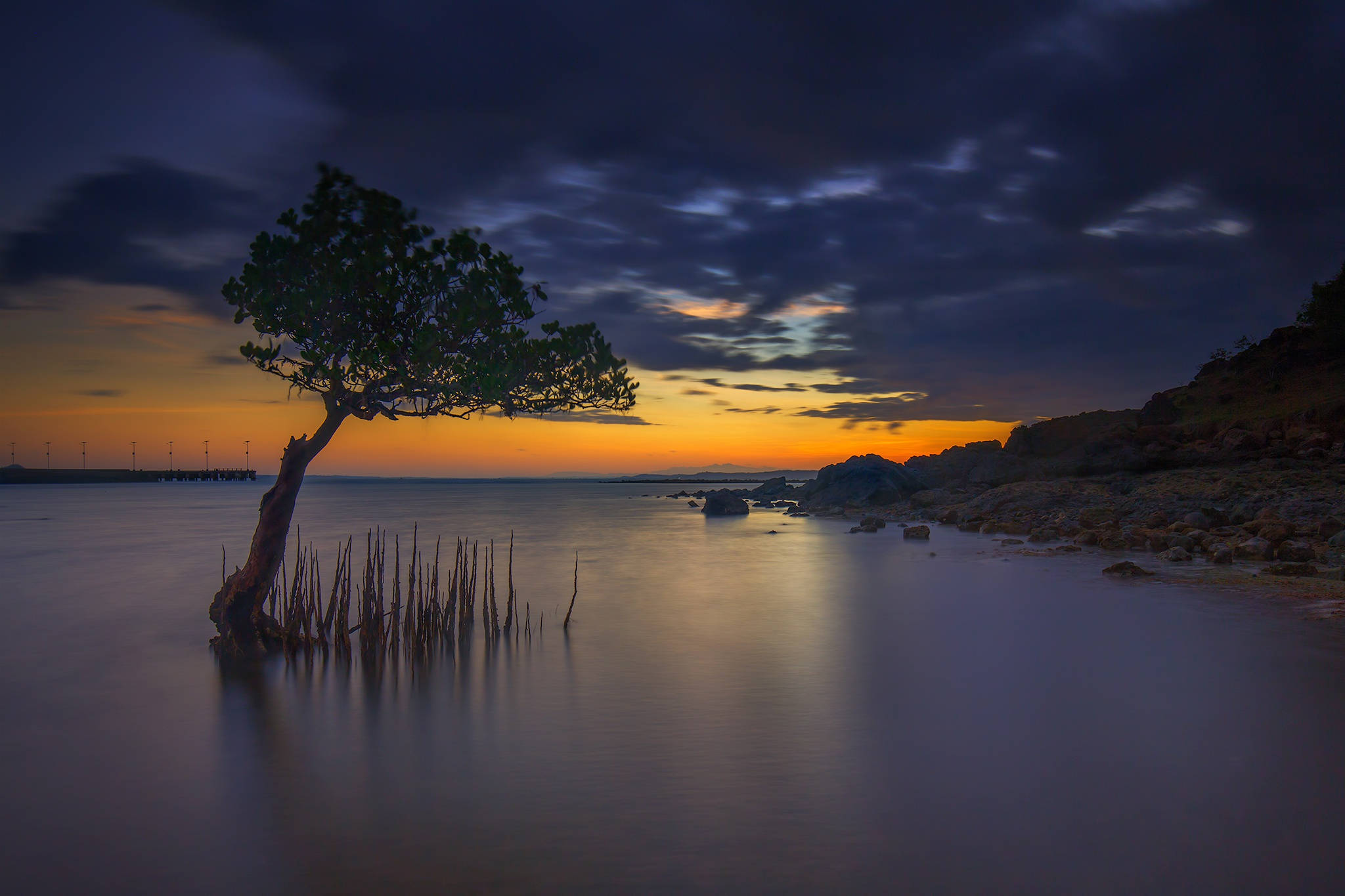 mangrove, sunset, Indonesia, Full HD Desktop Wallpaper