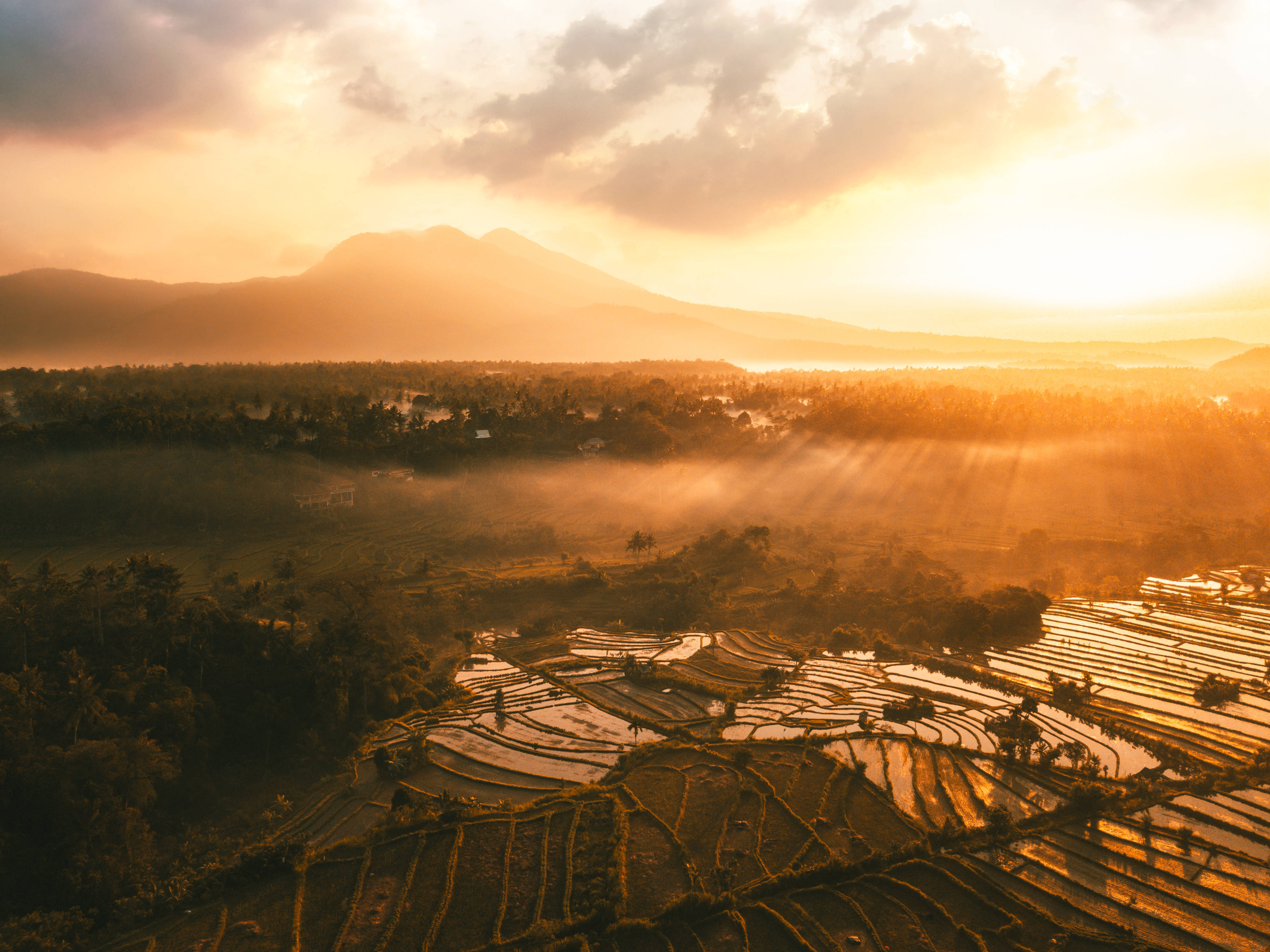 Indonesia, sun rise farms, golden sunrise, 4K Desktop Wallpaper