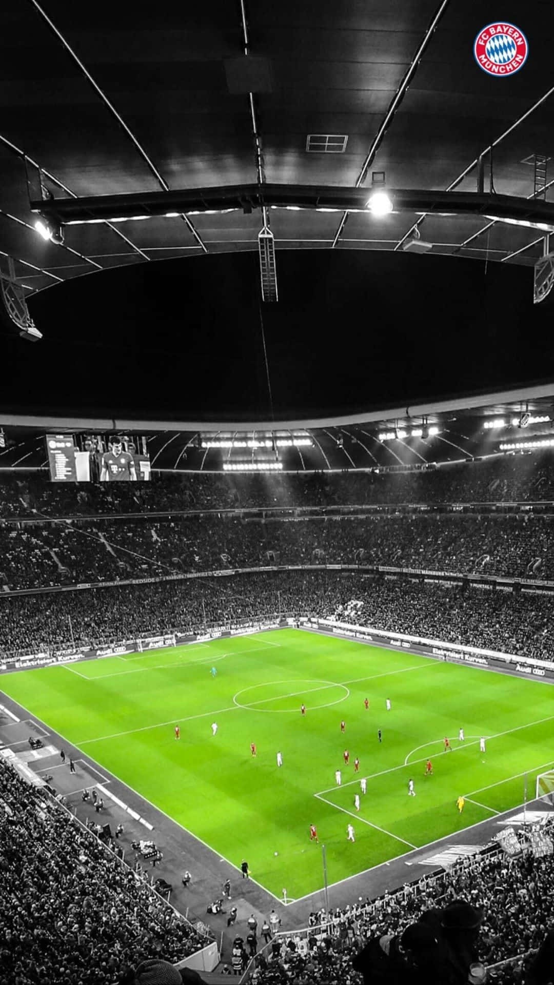soccer stadium, vibrant green soccer field, bright stadium lights, Full HD Phone Wallpaper