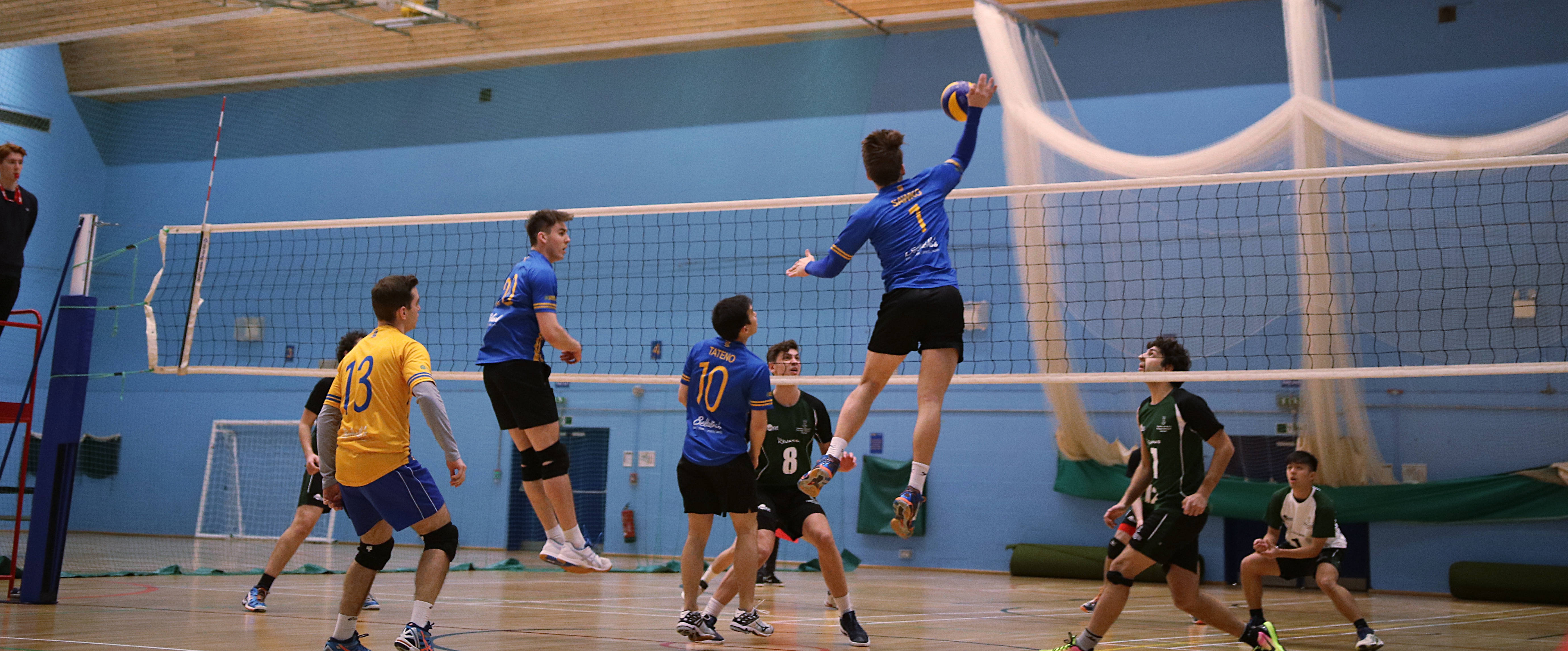 Men's Indoor Volleyball, blue, green, 5K Desktop Wallpaper